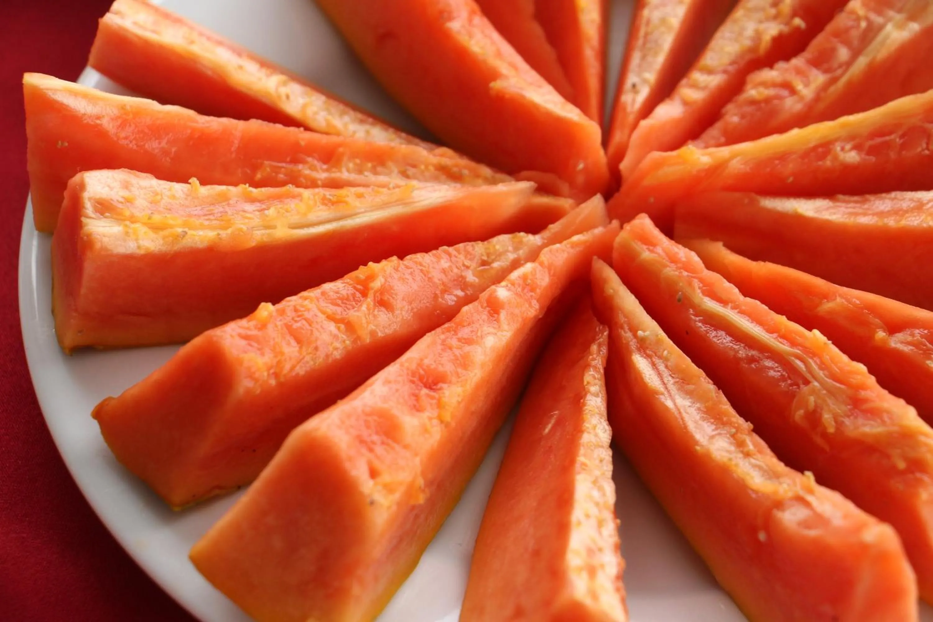 Food close-up in Misty Paradise of Lake Gregory