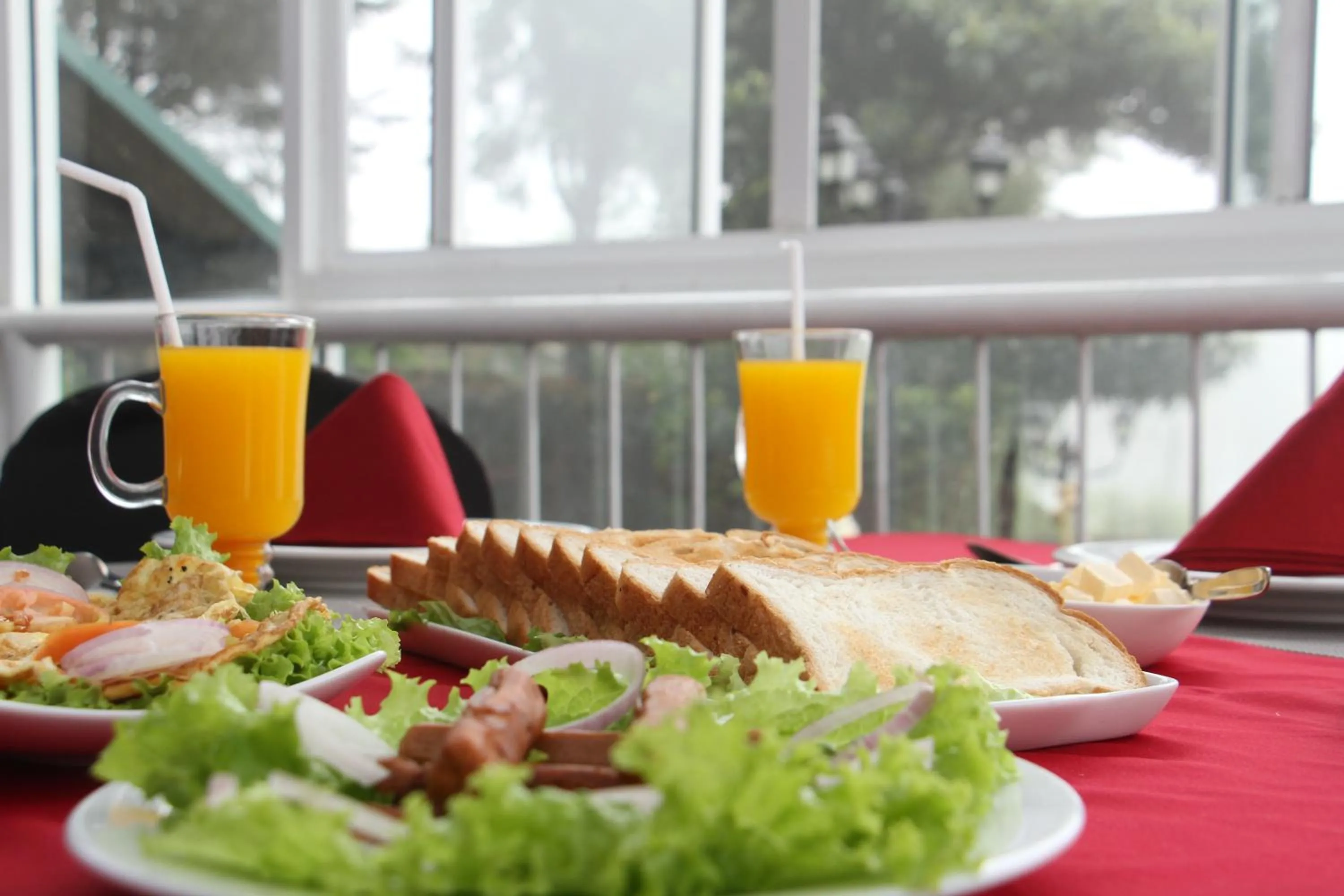 Food close-up in Misty Paradise of Lake Gregory
