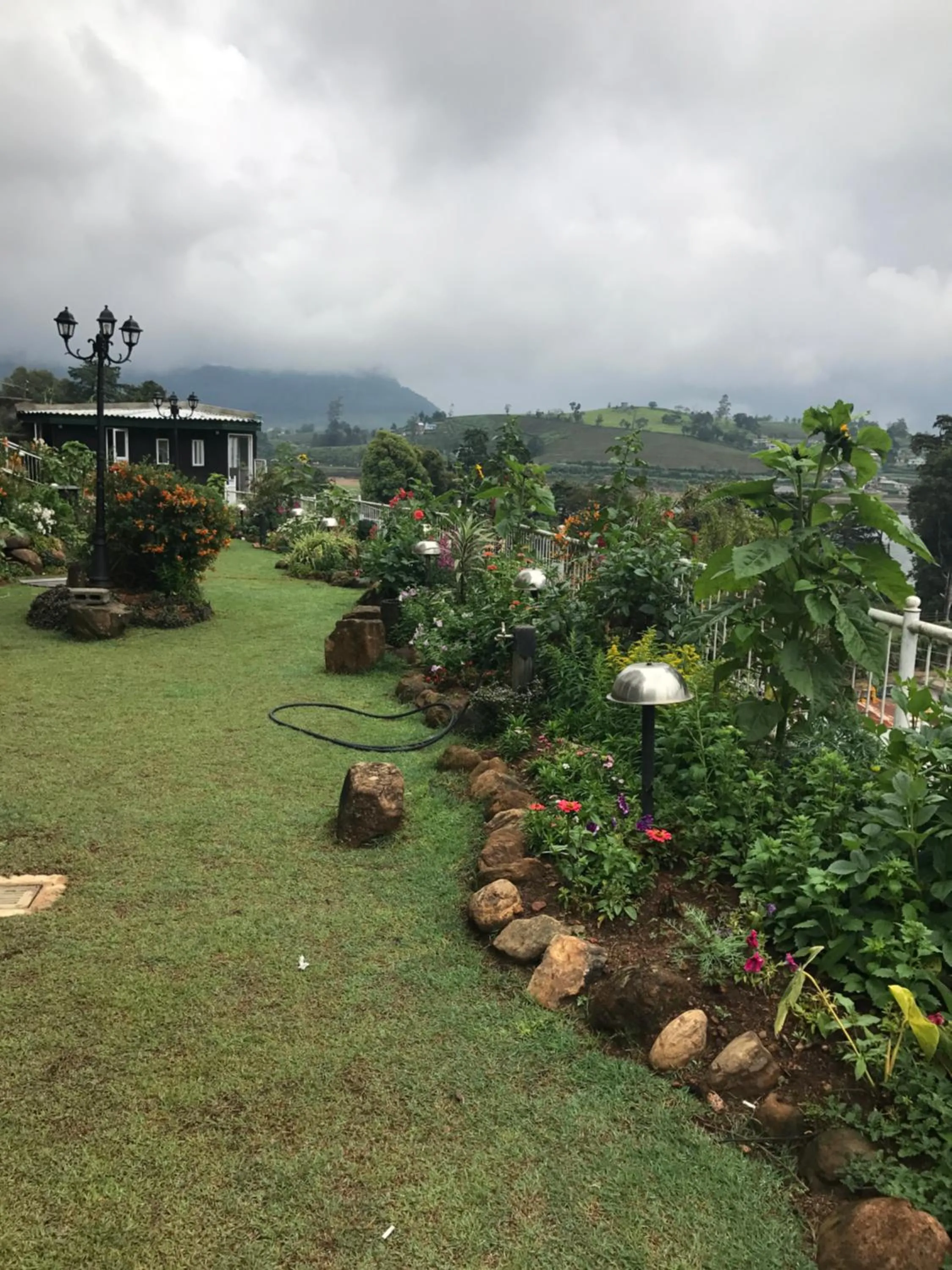 Garden in Misty Paradise of Lake Gregory
