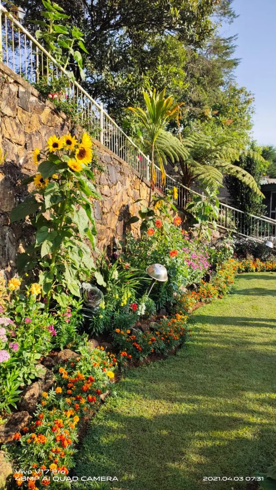 Garden in Misty Paradise of Lake Gregory