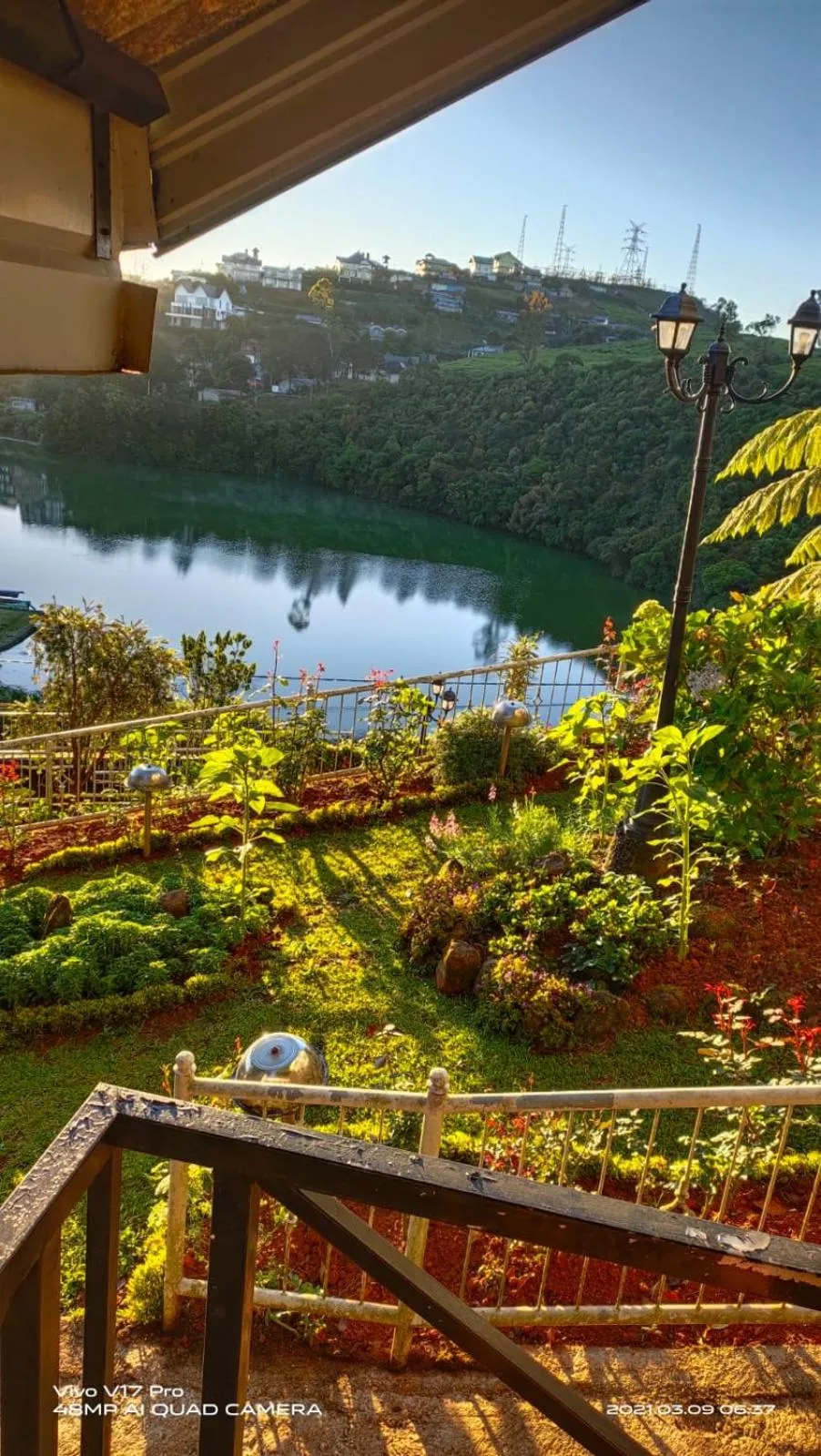 Garden in Misty Paradise of Lake Gregory