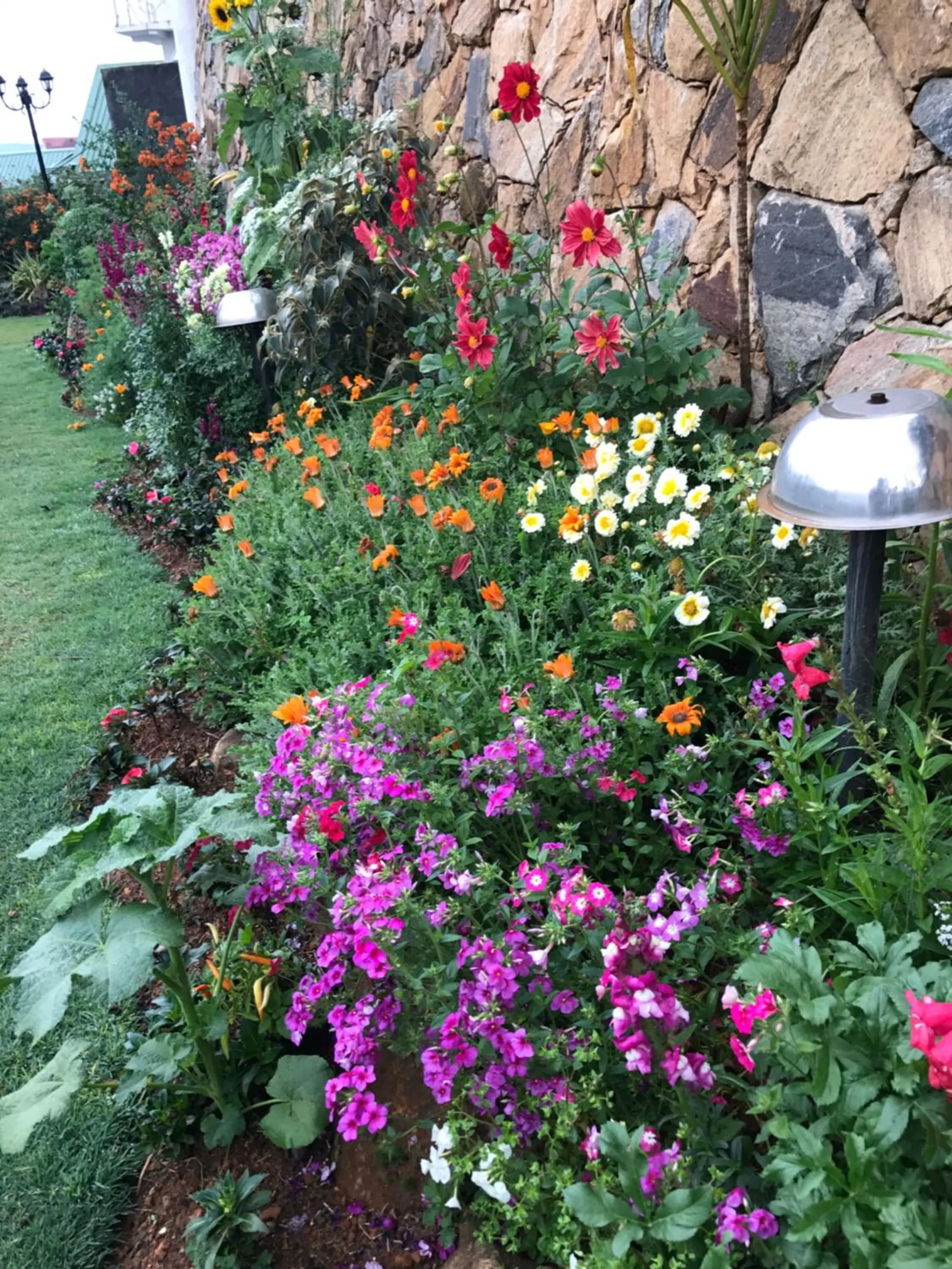 Garden in Misty Paradise of Lake Gregory