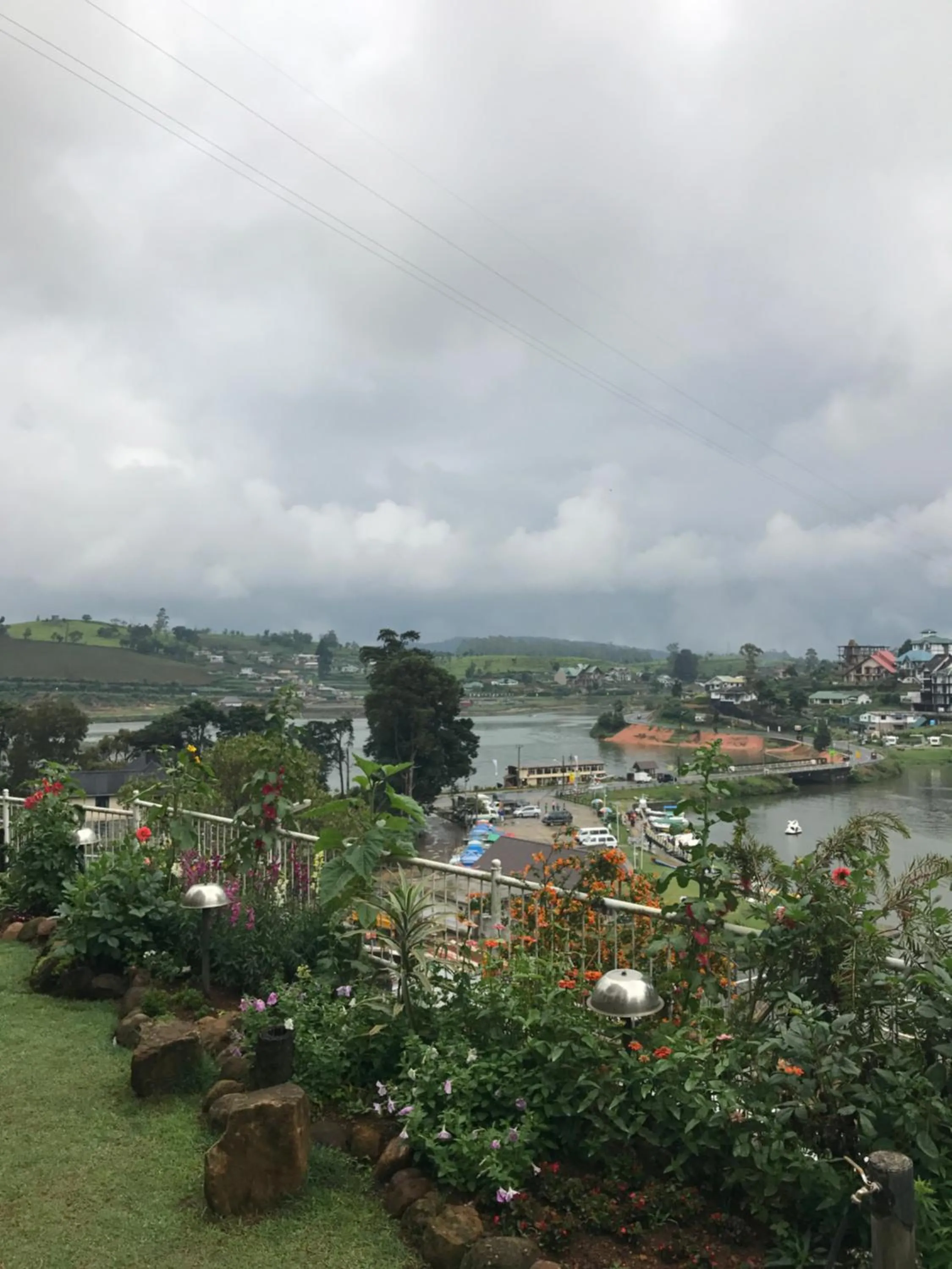 Garden in Misty Paradise of Lake Gregory