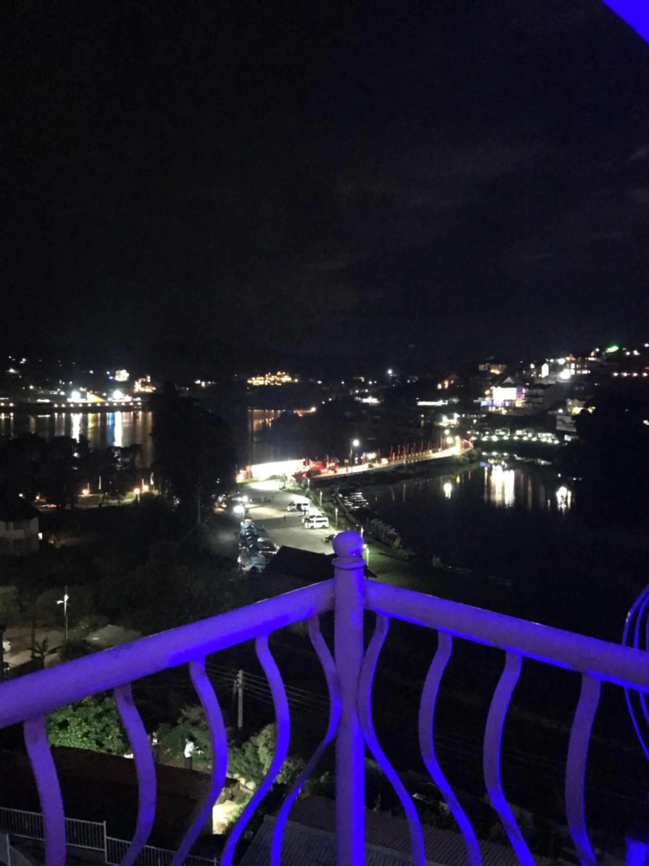 Night in Misty Paradise of Lake Gregory