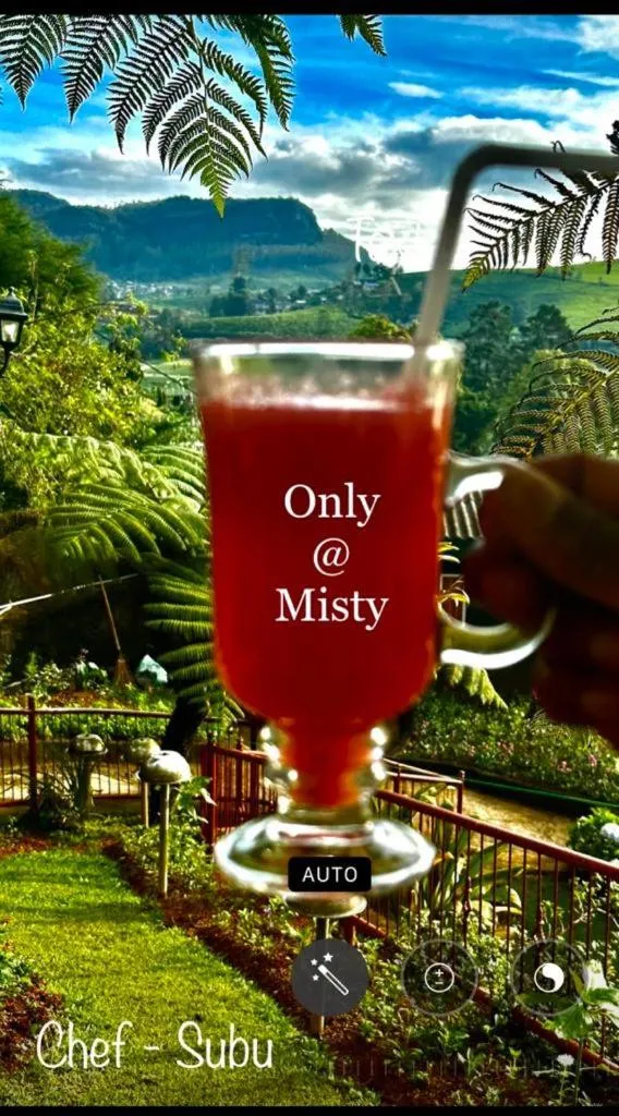 Misty Paradise of Lake Gregory