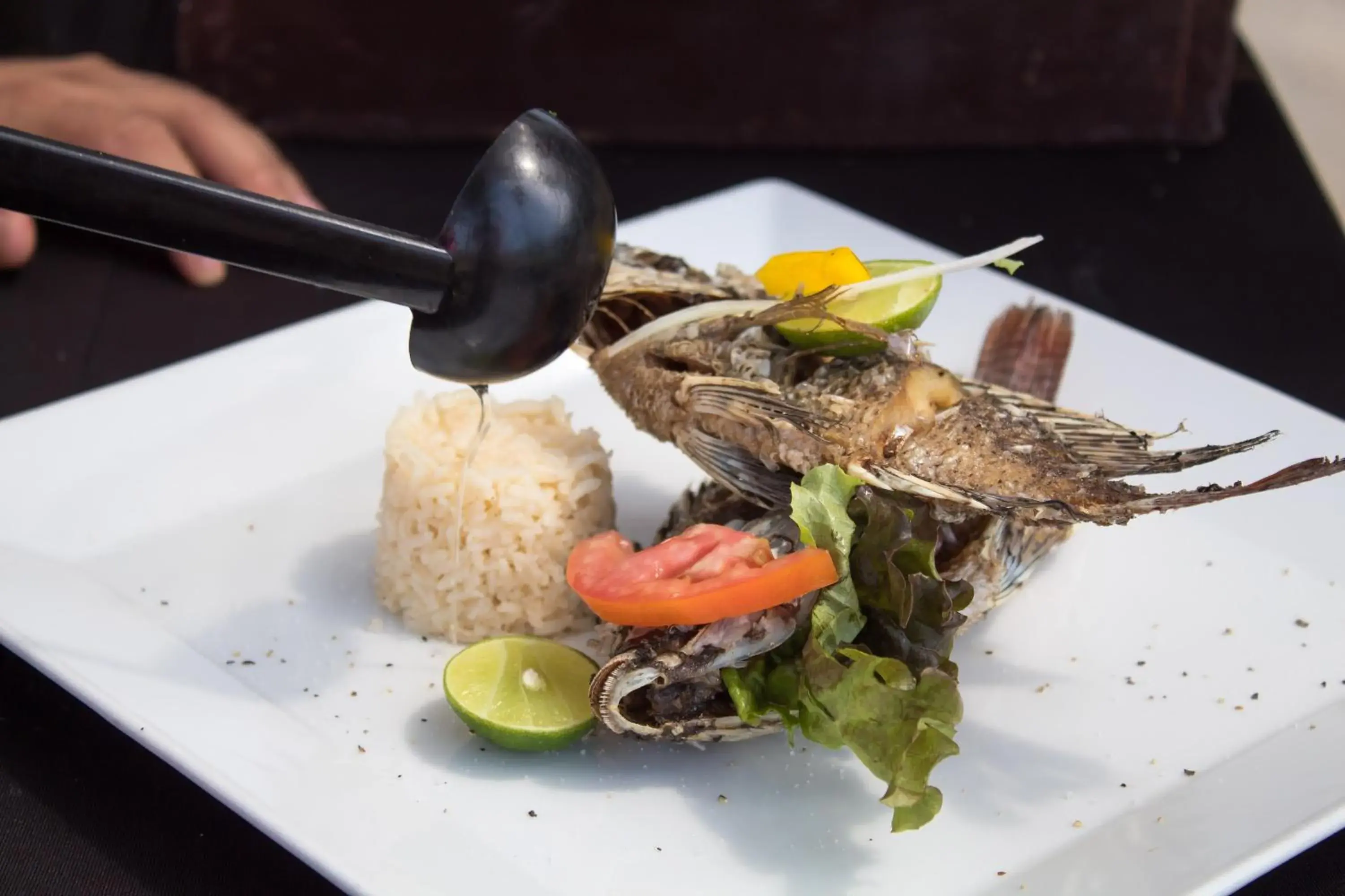 Food in Plaza Pelicanos Club Beach Resort All Inclusive Food in Plaza Pelicanos Club Beach Resort All Inclusive