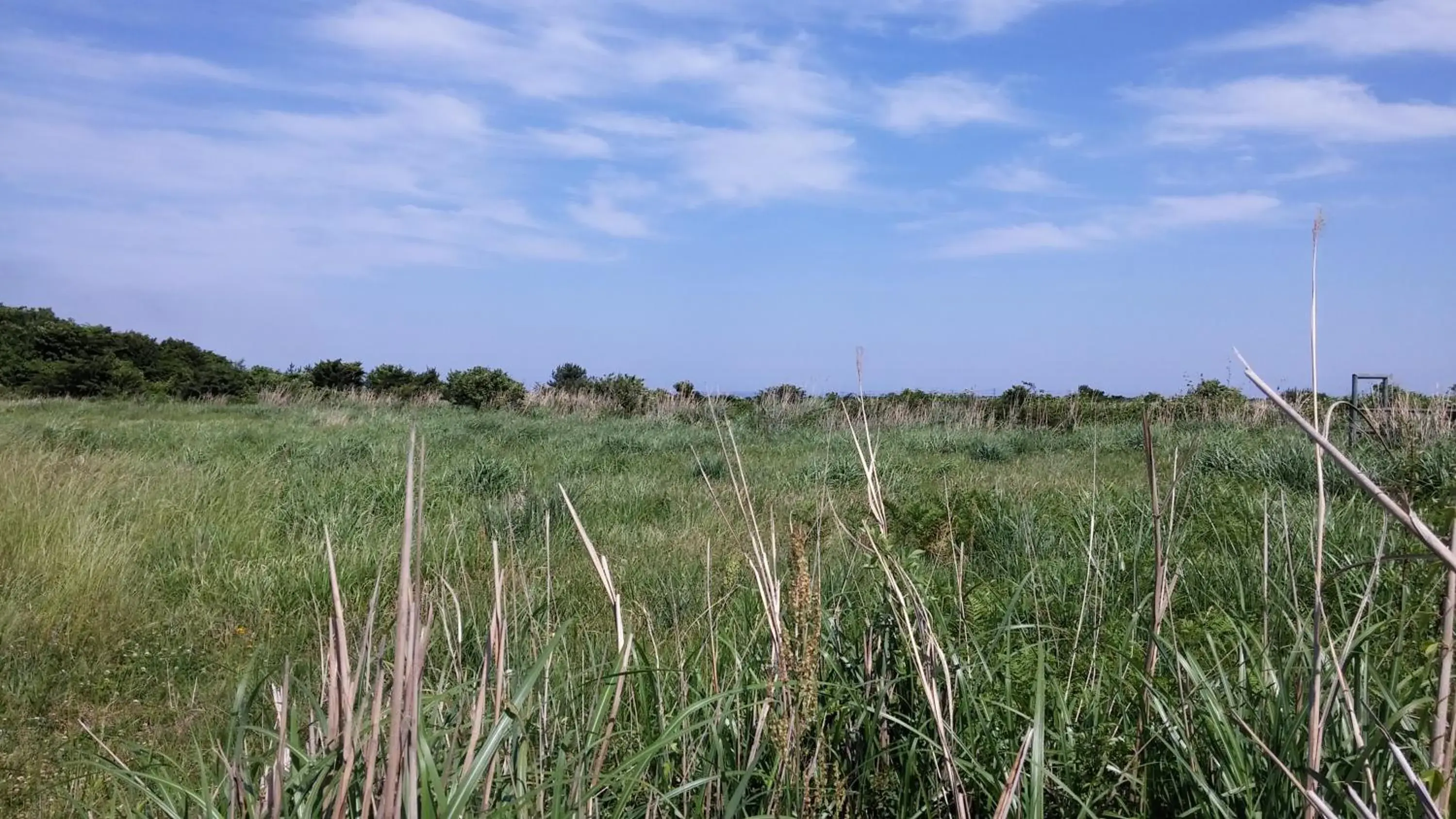 Arting Pension Arting Pension