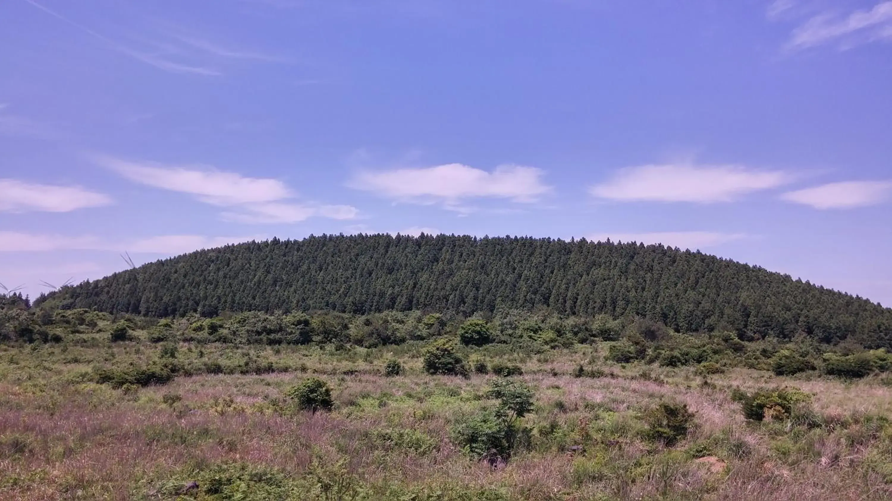 Arting Pension Arting Pension