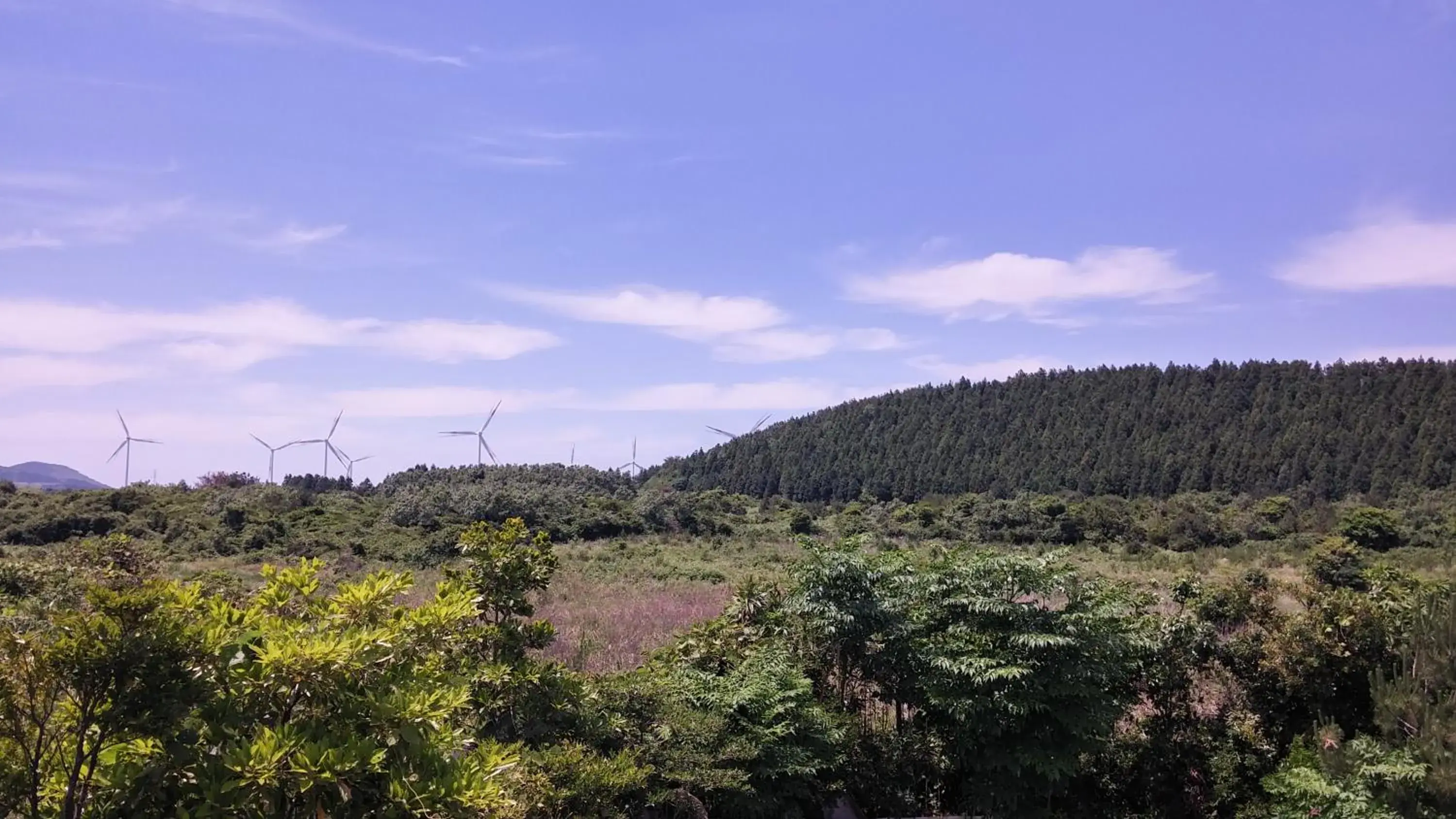 Arting Pension Arting Pension