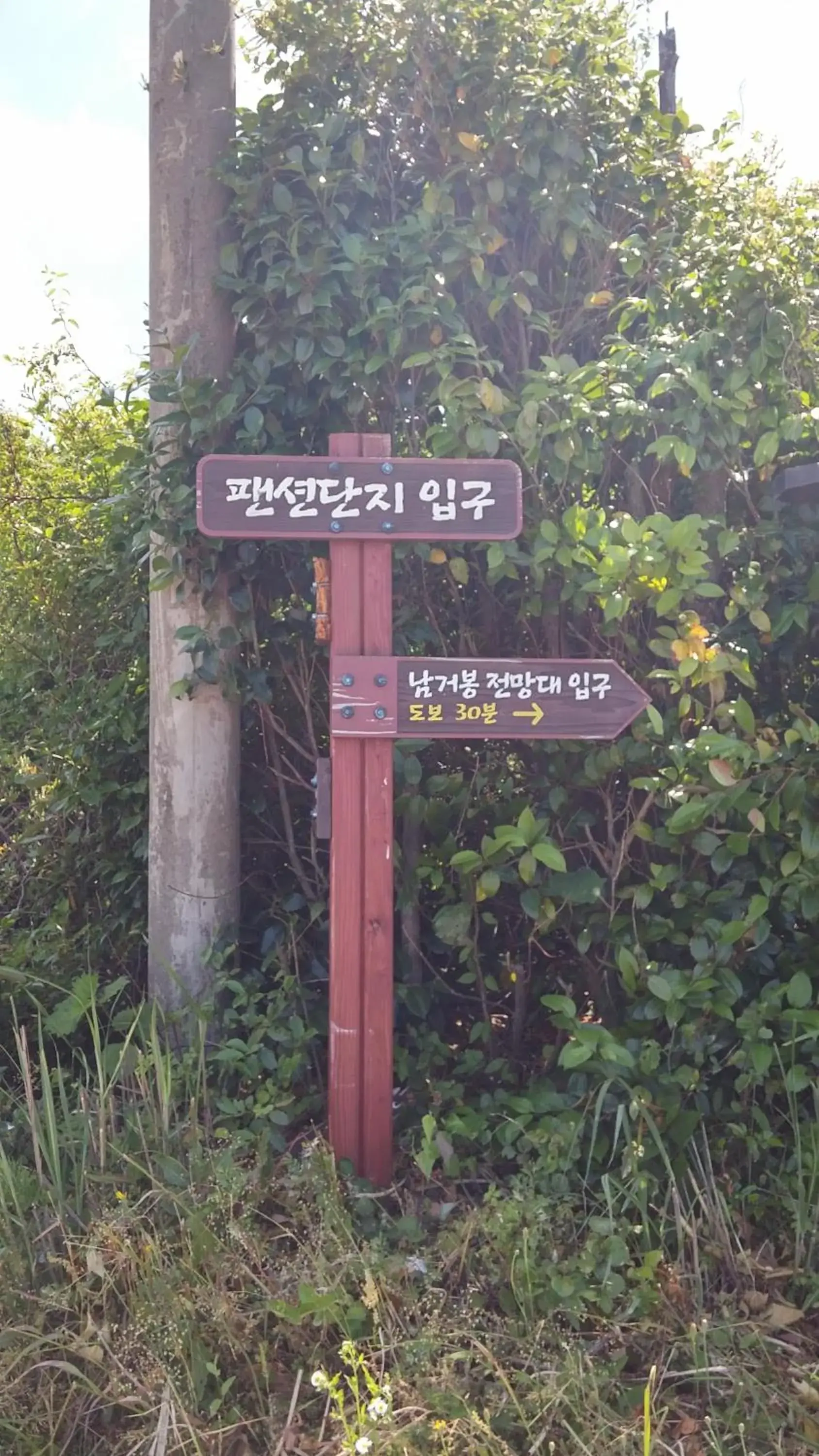 Arting Pension Arting Pension