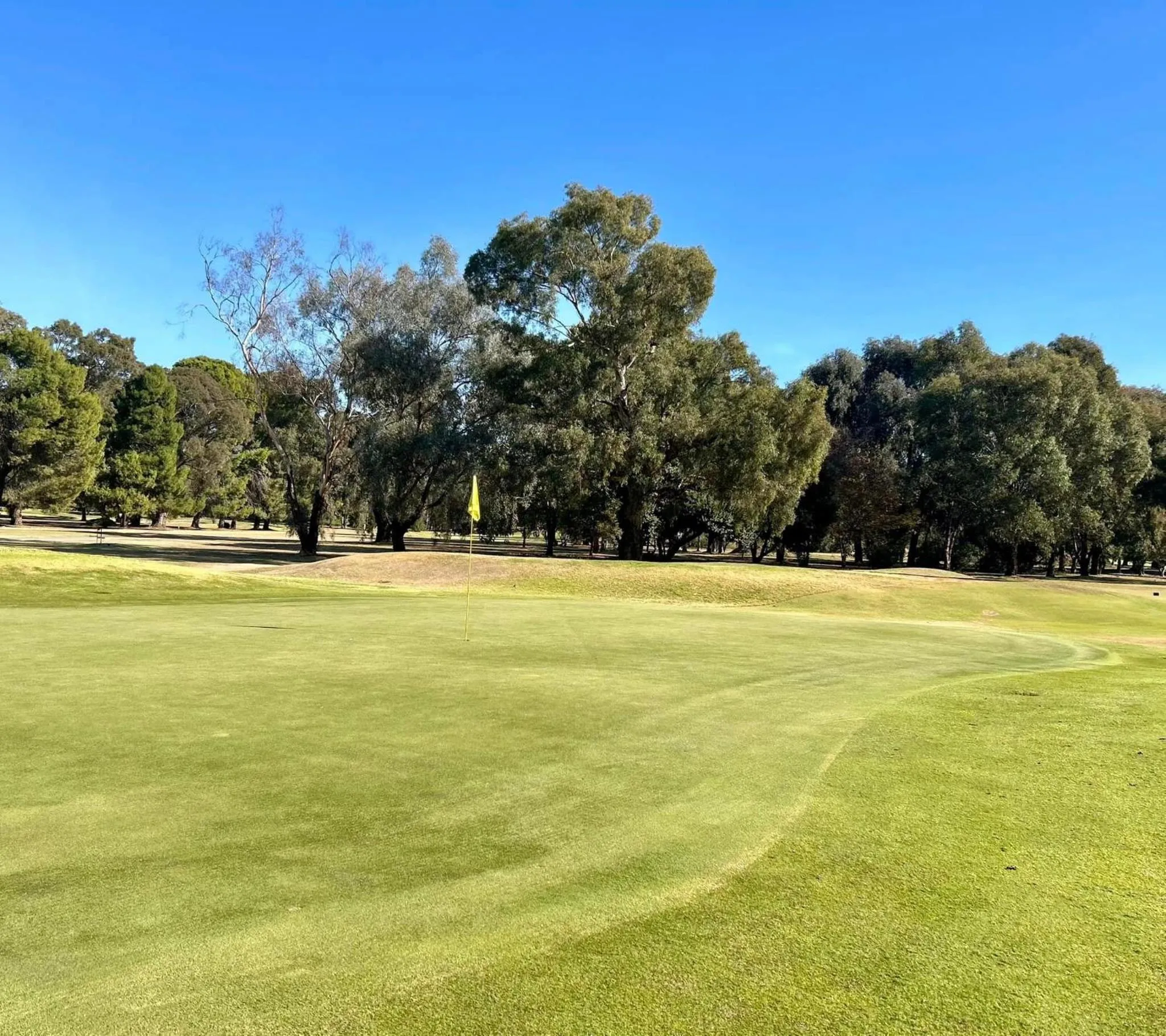 Golfcourse in Corowa Golf Club Motel
