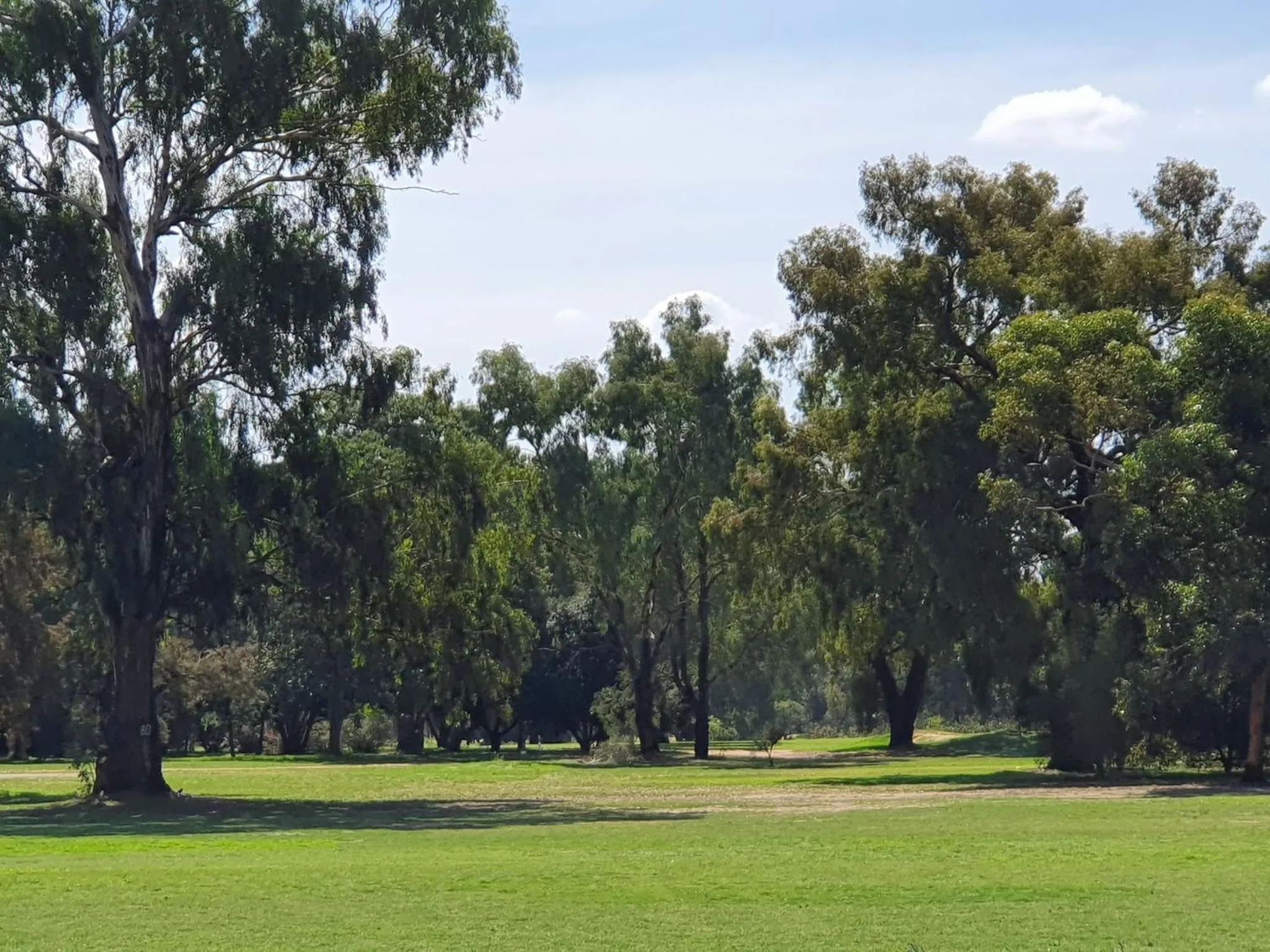 Golfcourse in Corowa Golf Club Motel