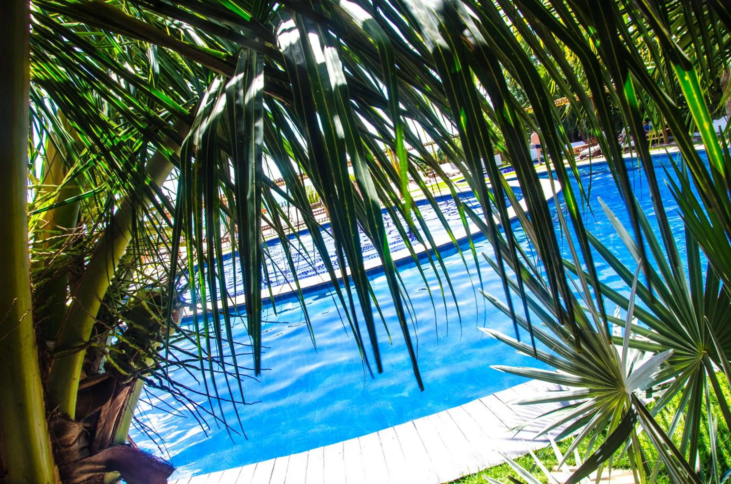 Swimming pool in Long Beach