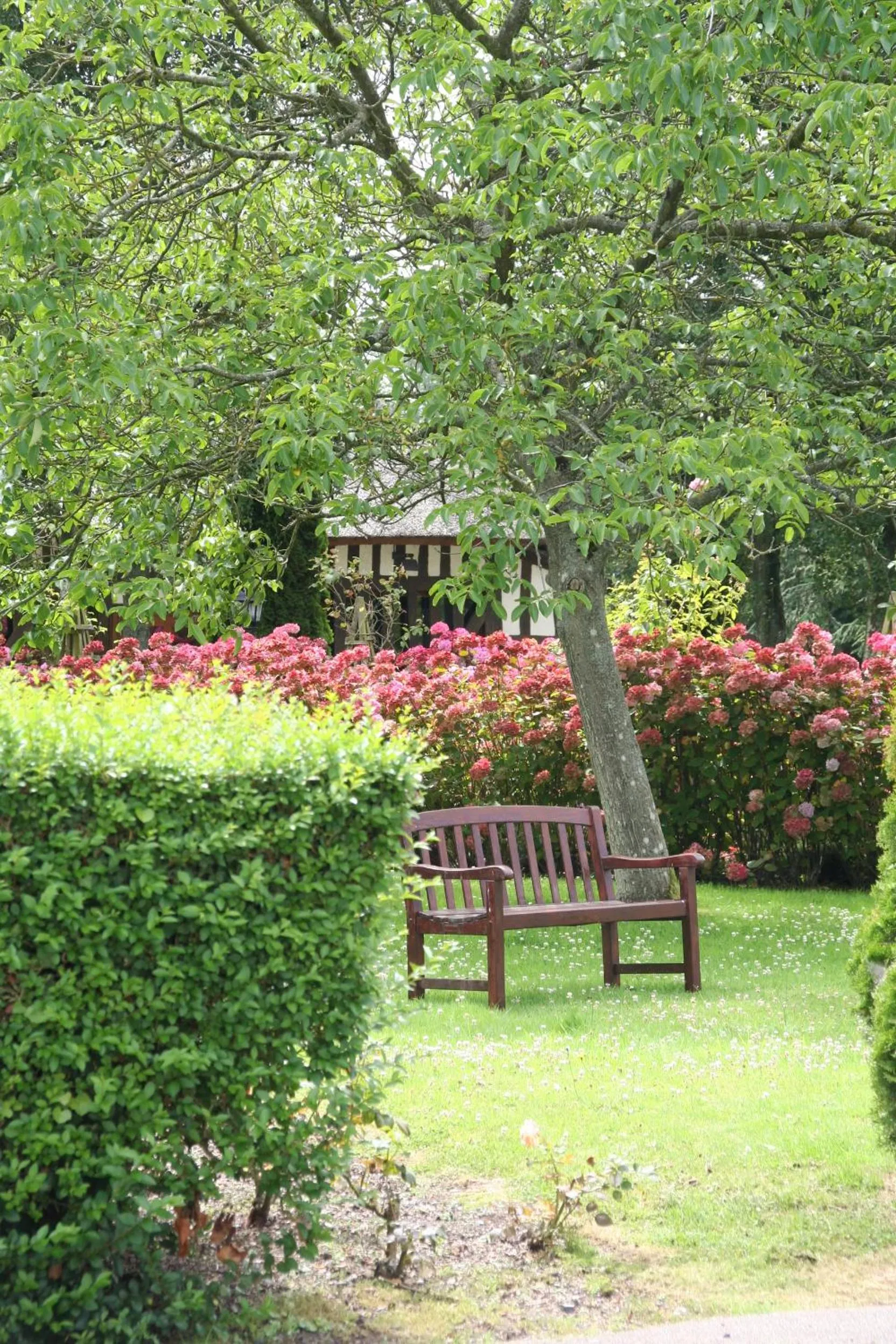 Garden in Logis Le Clos Deauville Saint Gatien