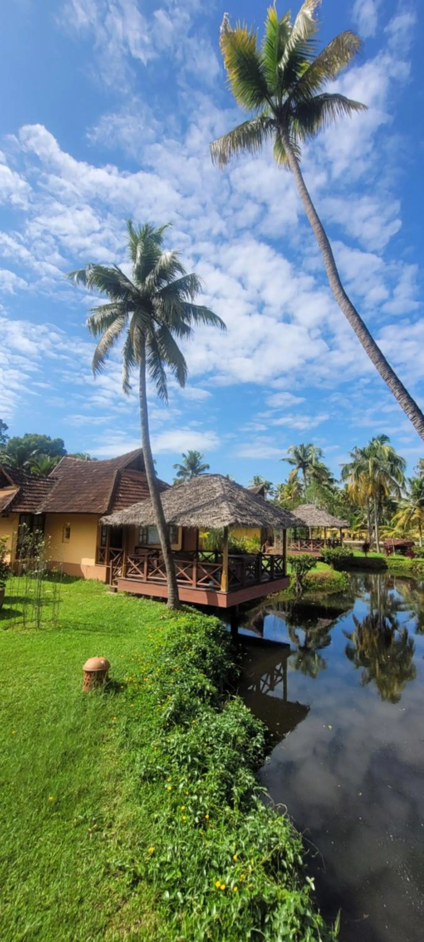 Restaurant/places to eat in Ameya Kerala