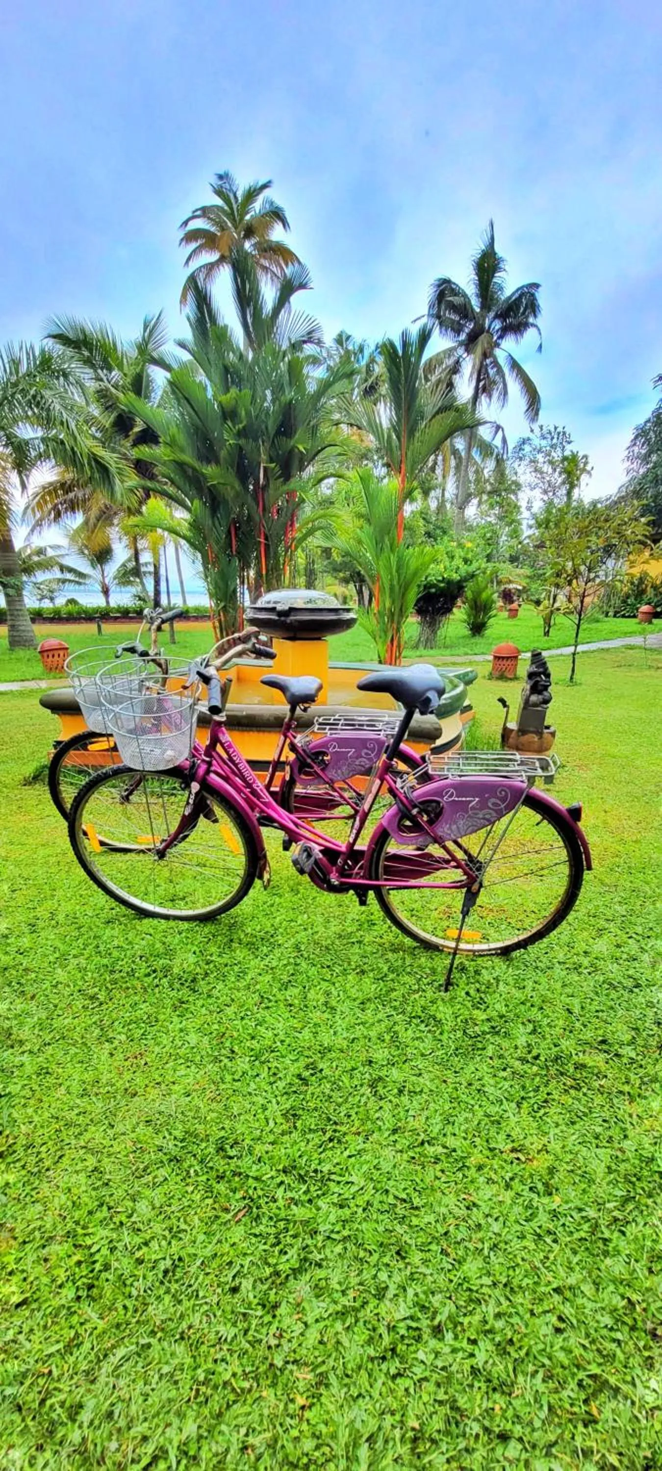 Cycling in Ameya Kerala