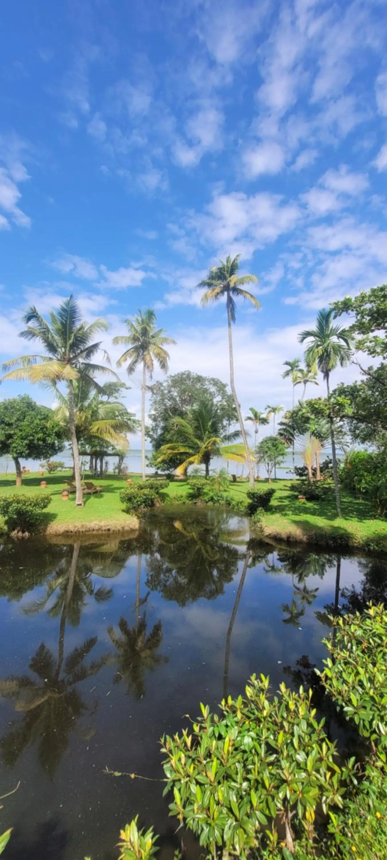 Lake view in Ameya Kerala