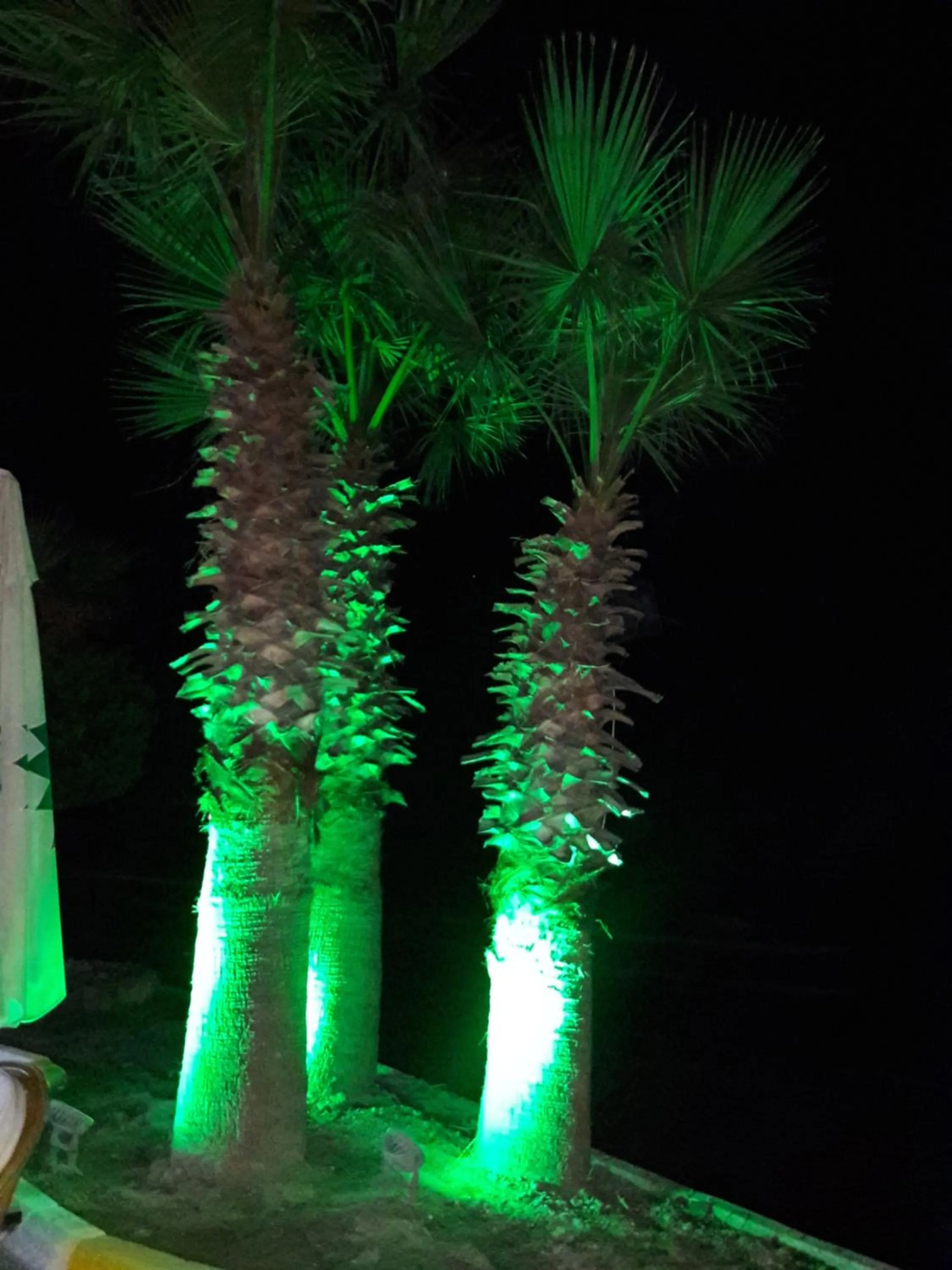 Off site in Sunday Beach Hotel