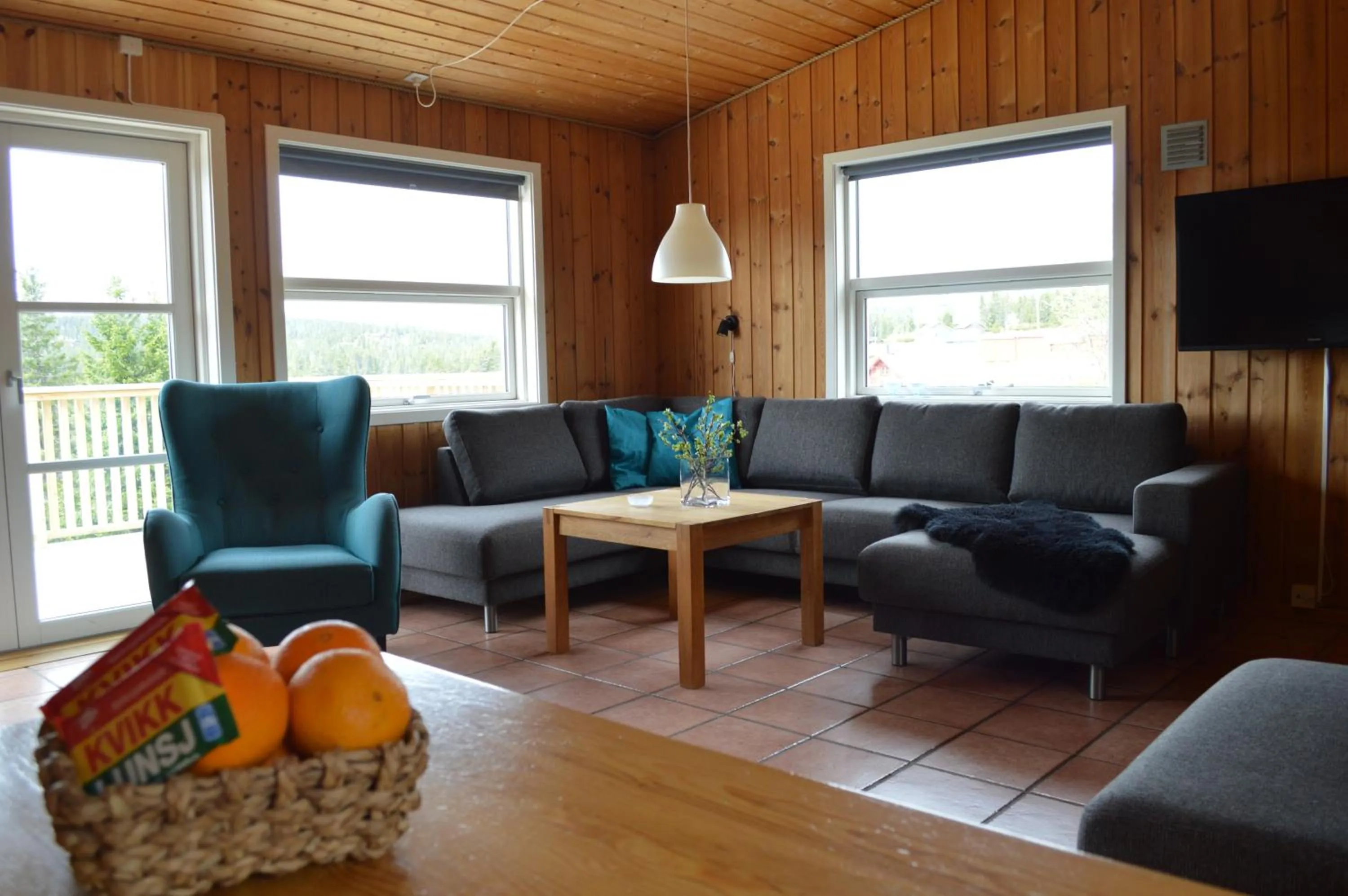 Living room in Nordseter Fjellpark, Hyttegrend