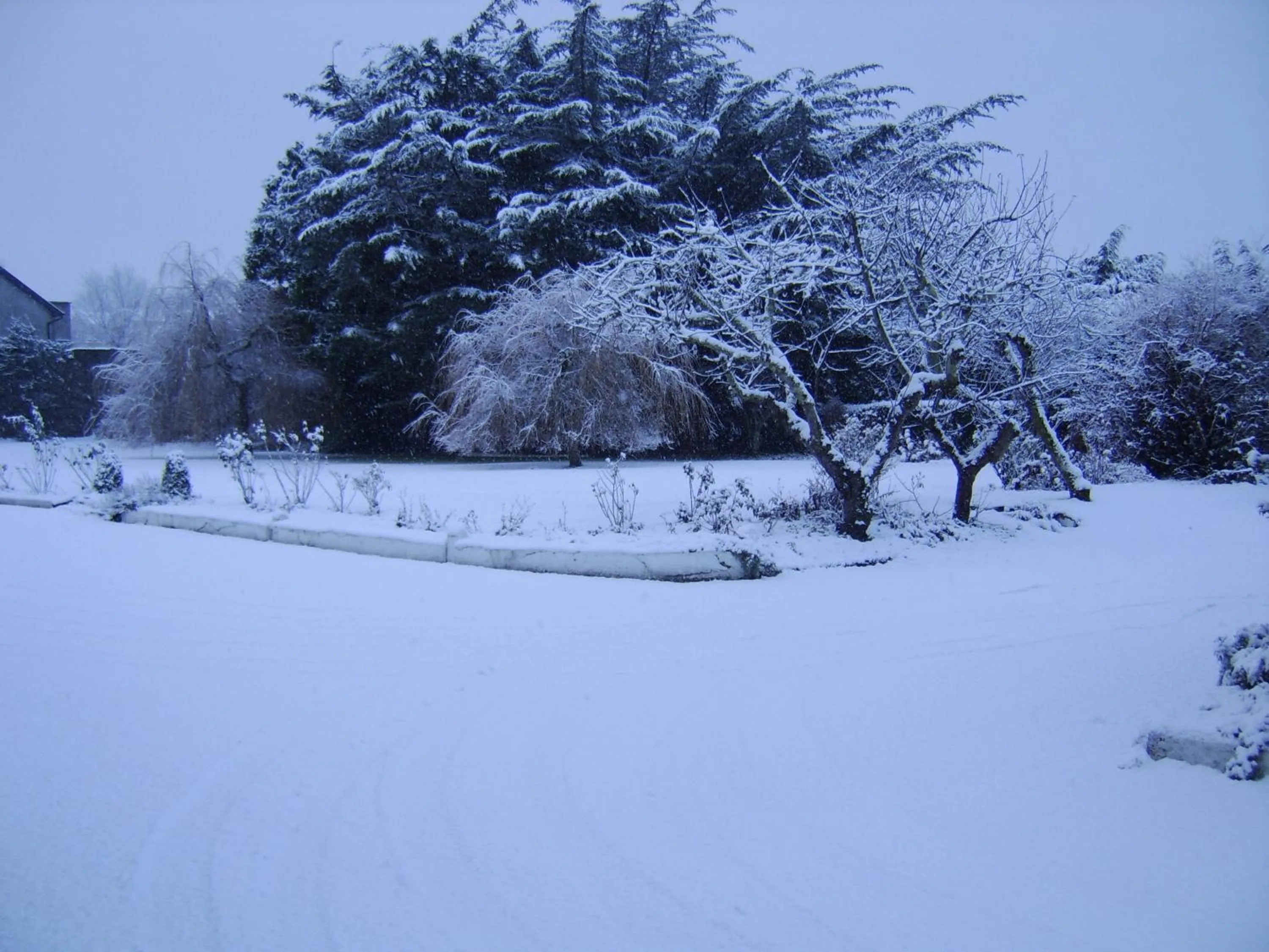 Winter in The Gardens B&B