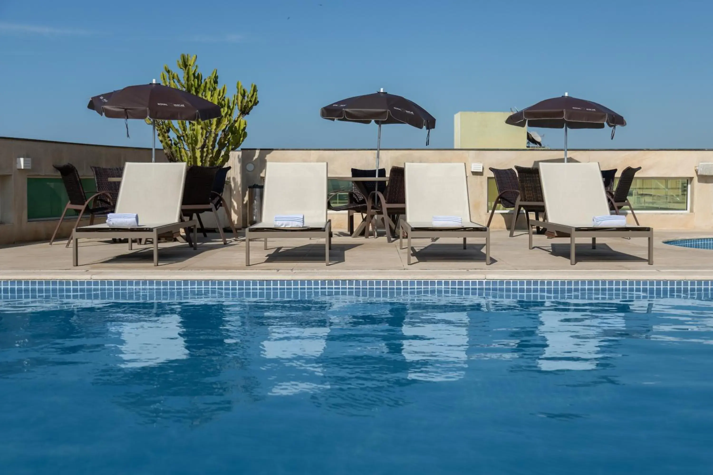 Swimming pool in Royal Macaé Palace Hotel Swimming pool in Royal Macaé Palace Hotel