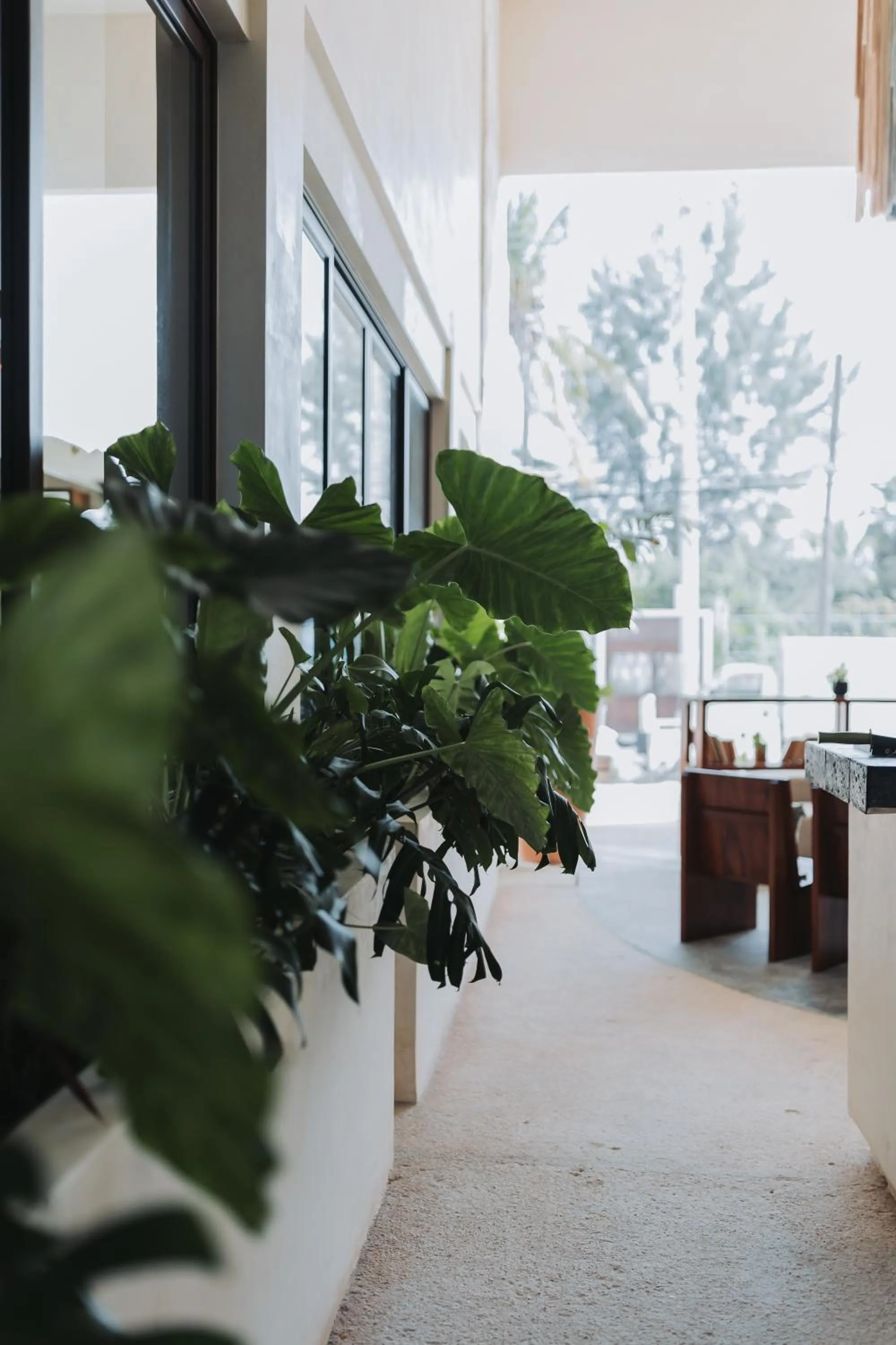 Family in Hotel Casa Barbara Holbox