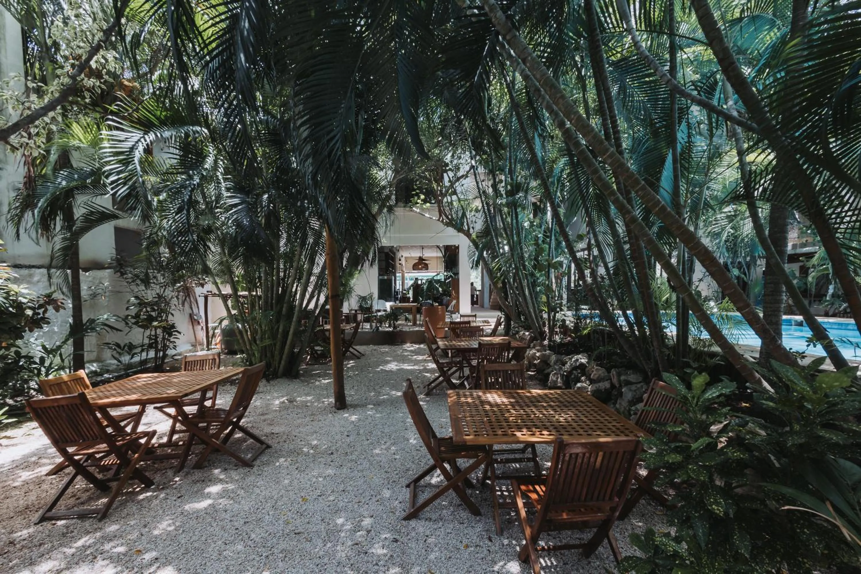 Garden in Hotel Casa Barbara Holbox