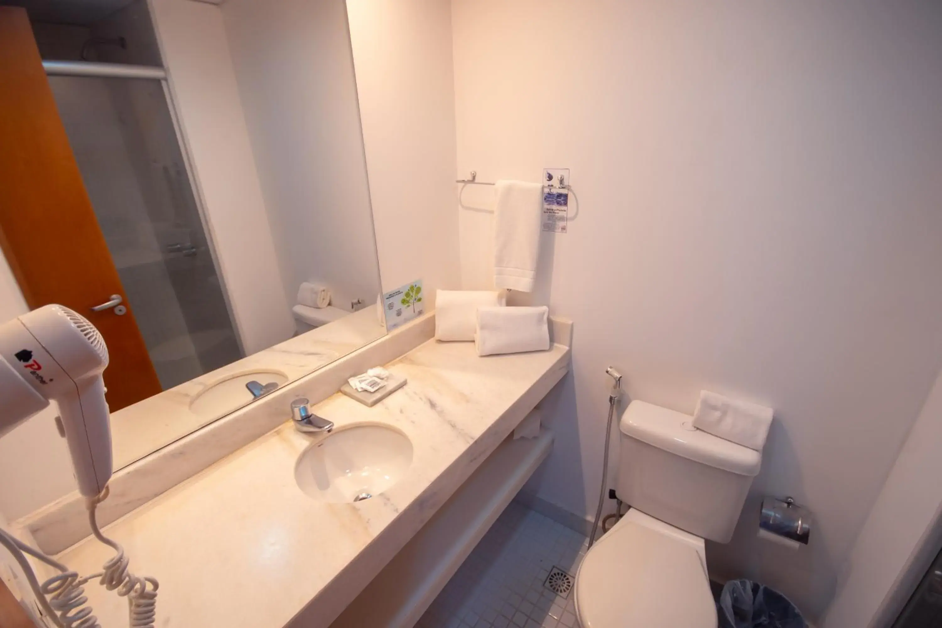 Double Room - single occupancy in Iguatemi Business by Avectur Double Room - single occupancy in Iguatemi Business by Avectur
