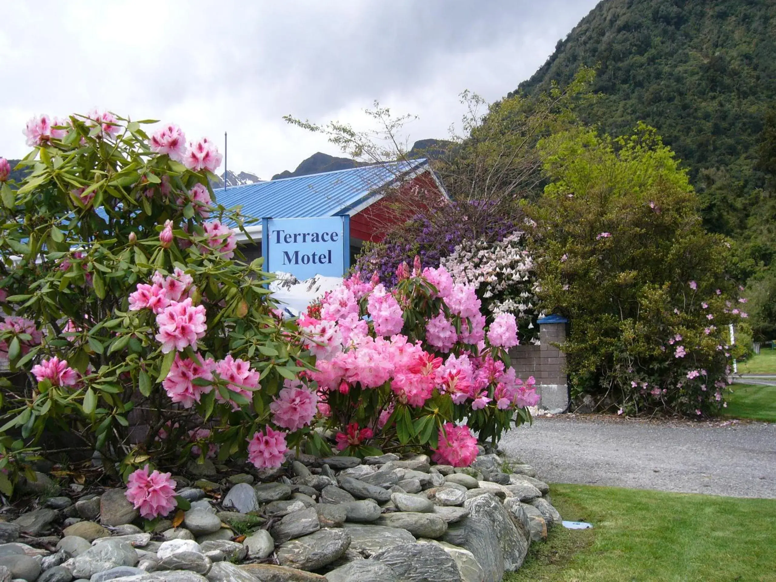 Garden view in The Terrace Garden view in The Terrace