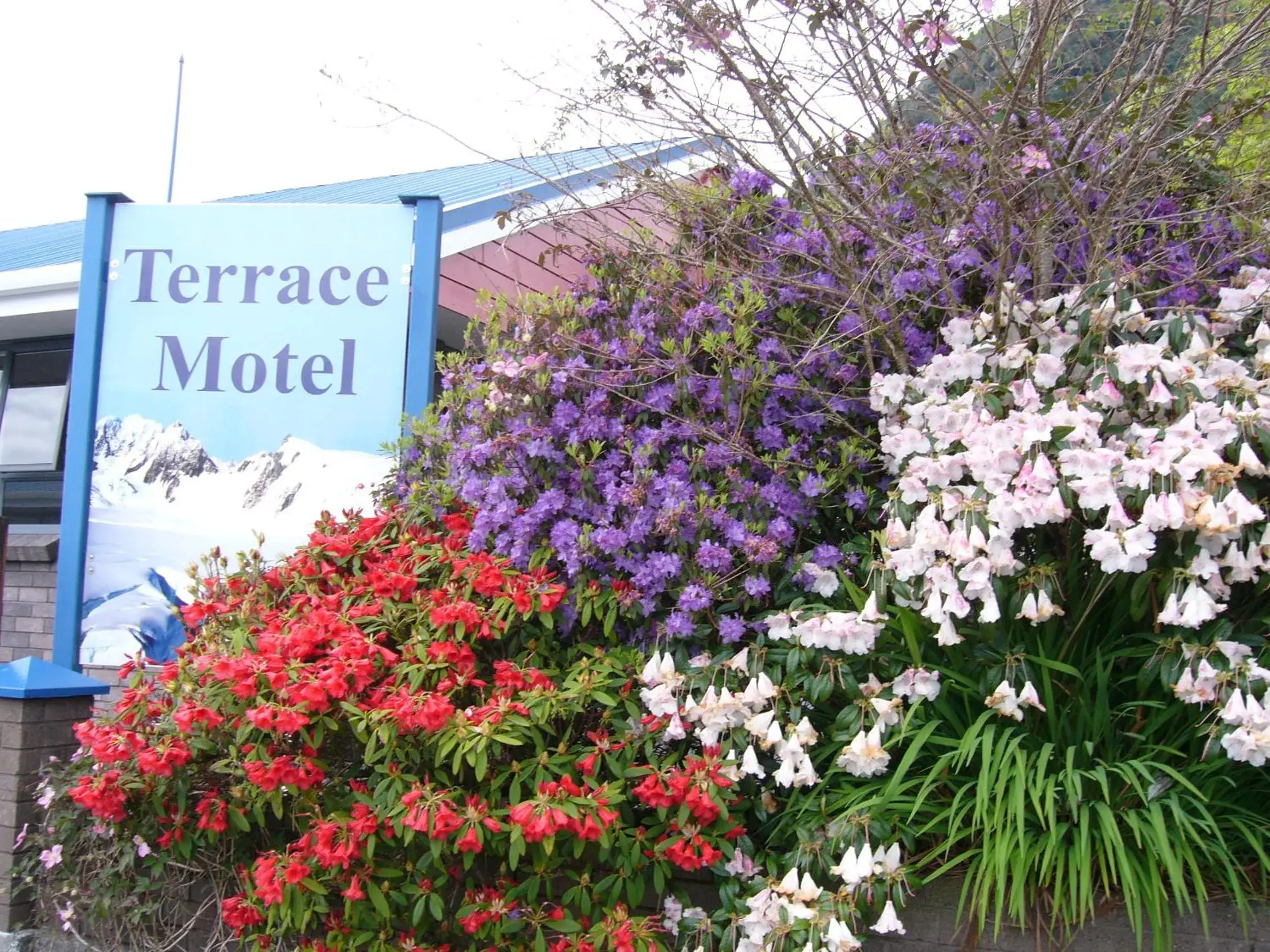 Garden view in The Terrace Garden view in The Terrace