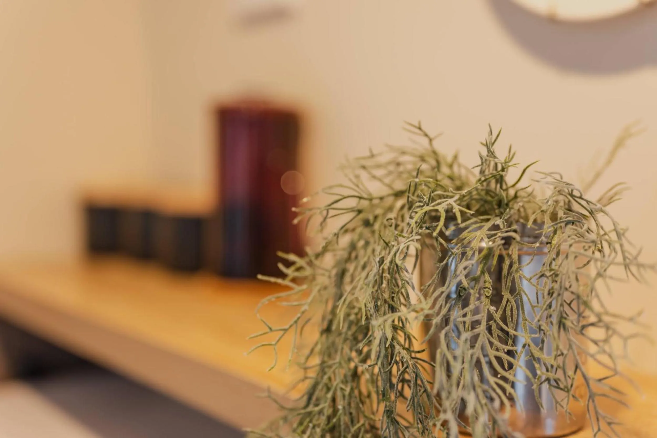 Lake Tekapo Cottages