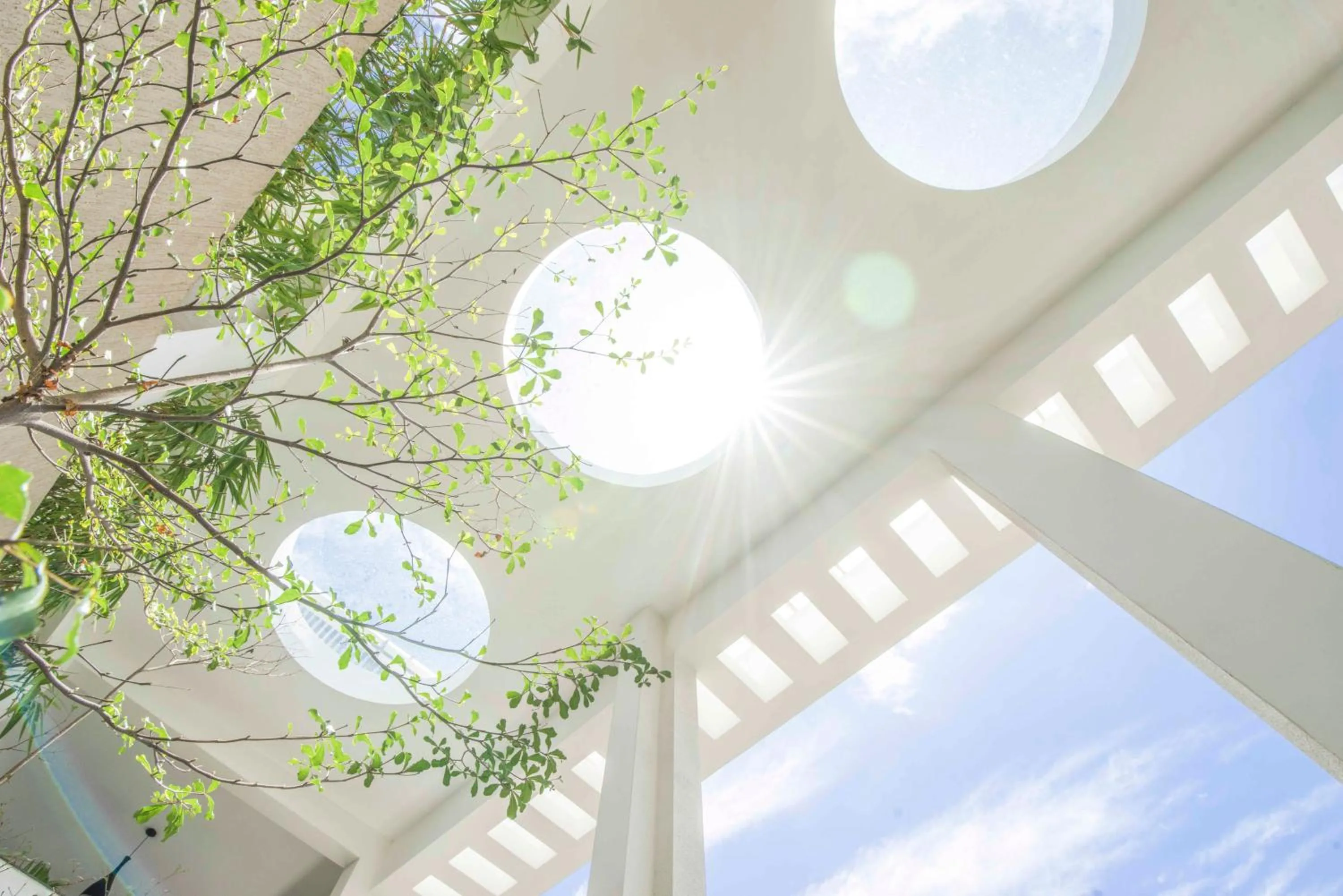 Garden in Sidra Pristine Hotel and Portico Halls