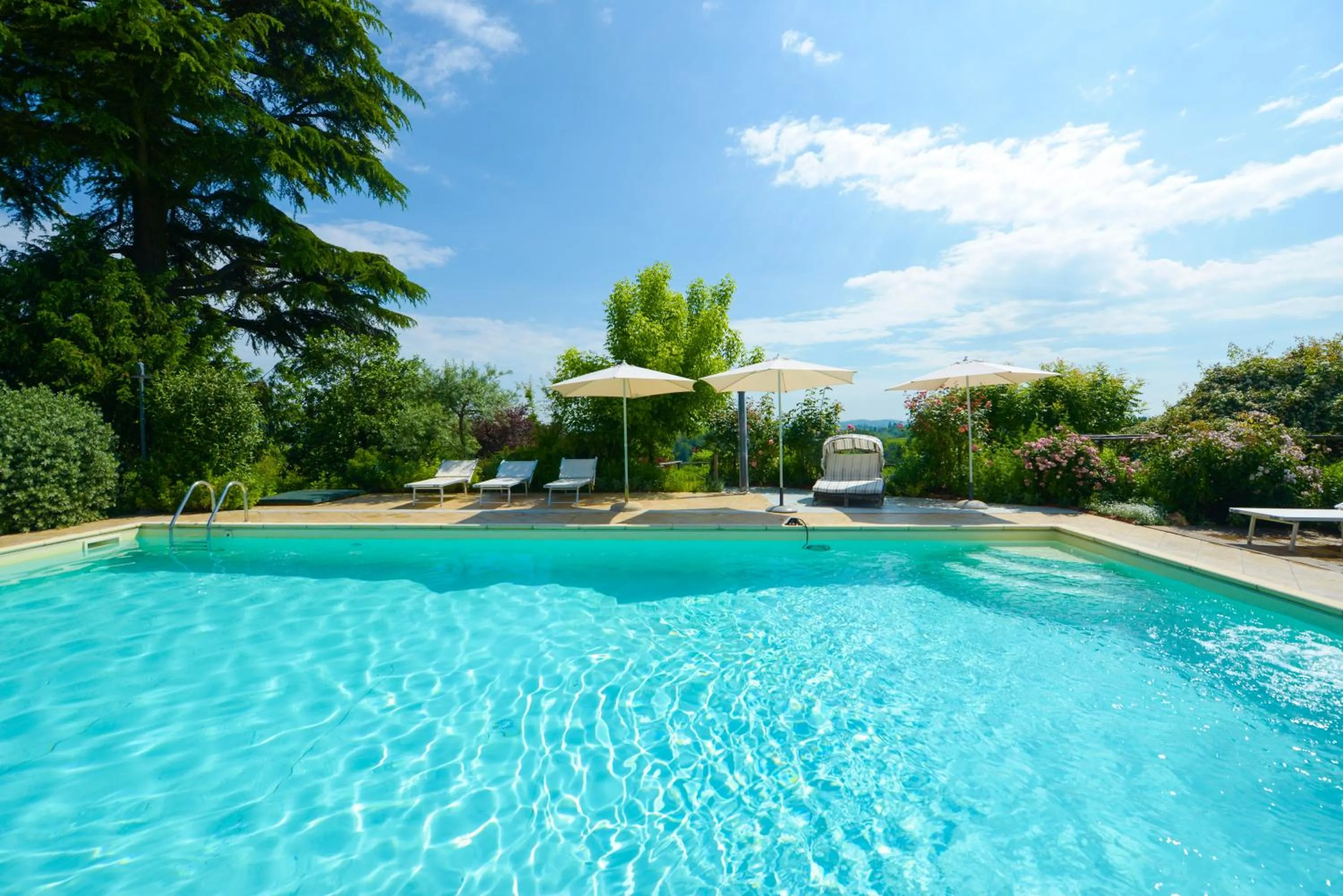 Swimming pool in B&B Tenuta Montegrande