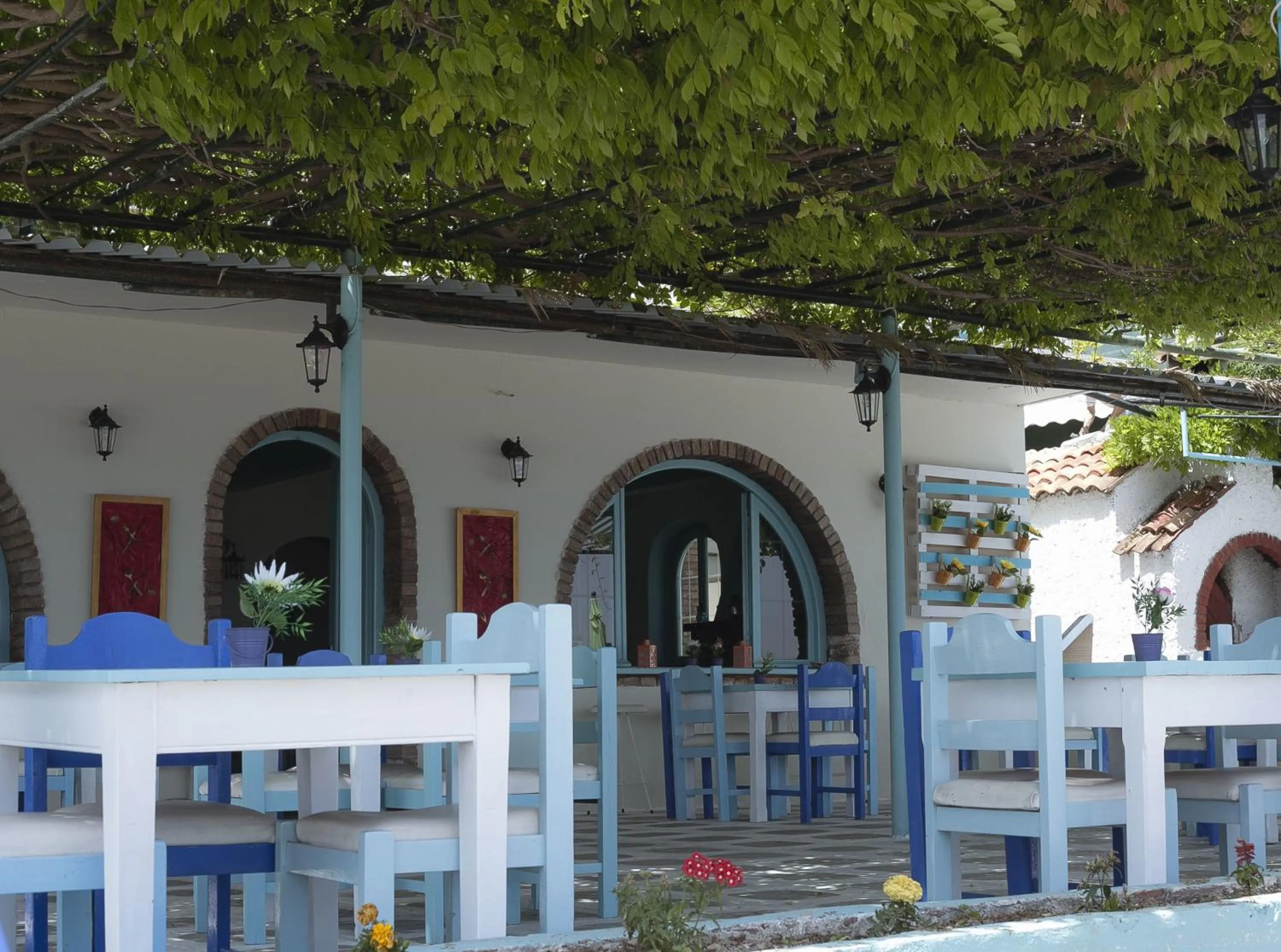 Patio in Avra Budget Beach Rooms