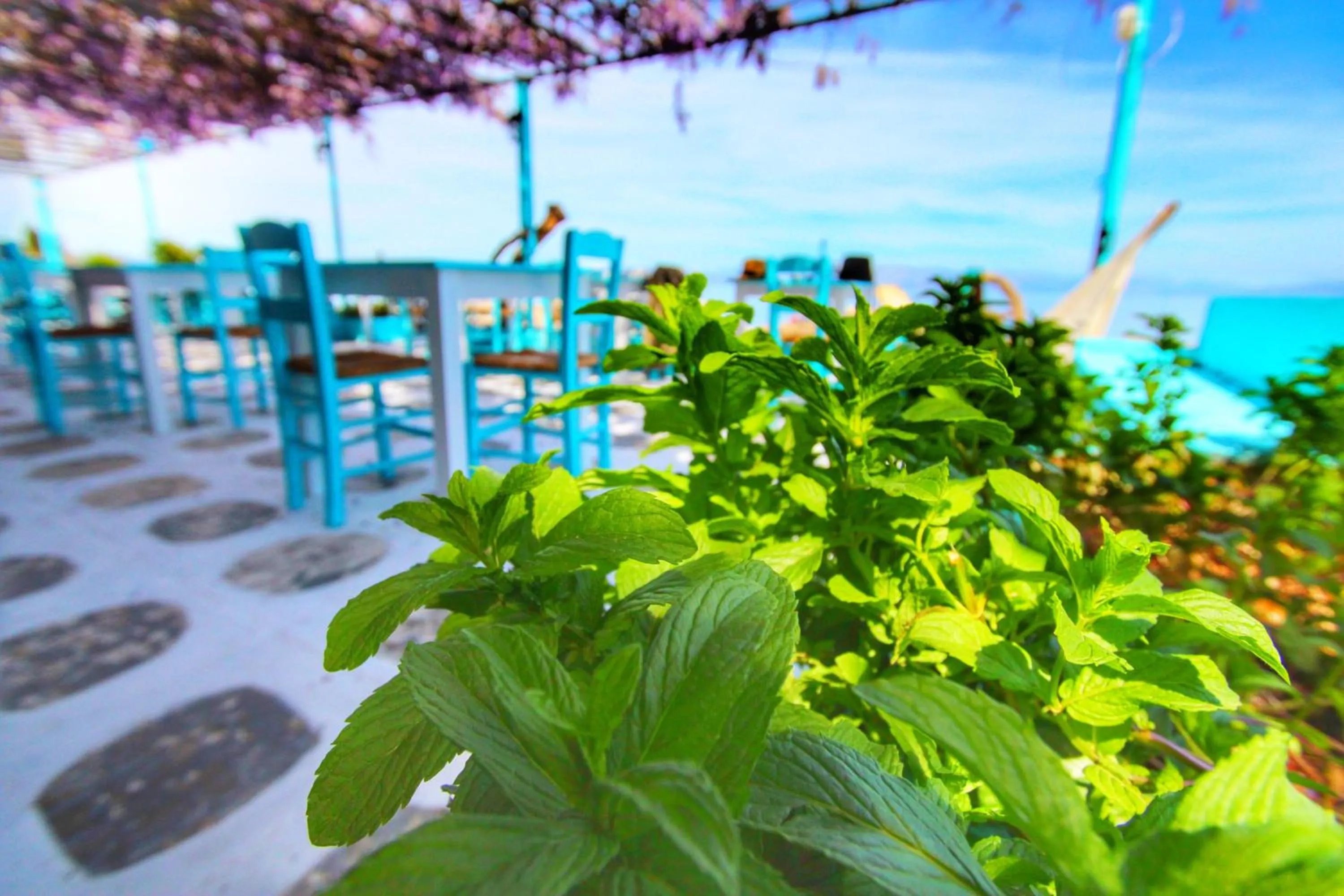 Restaurant/places to eat in Avra Budget Beach Rooms