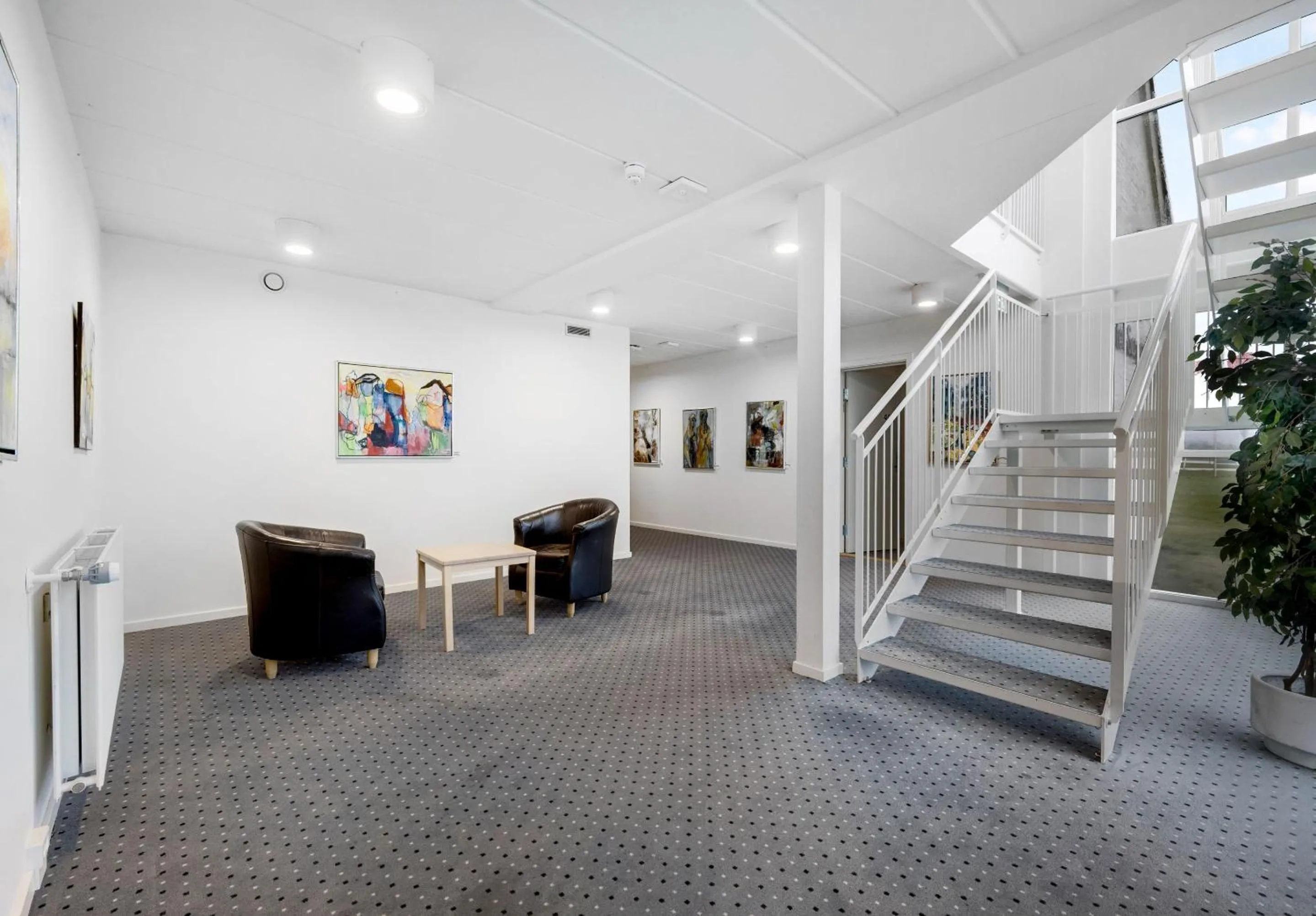 Area and facilities in Hotel Søparken