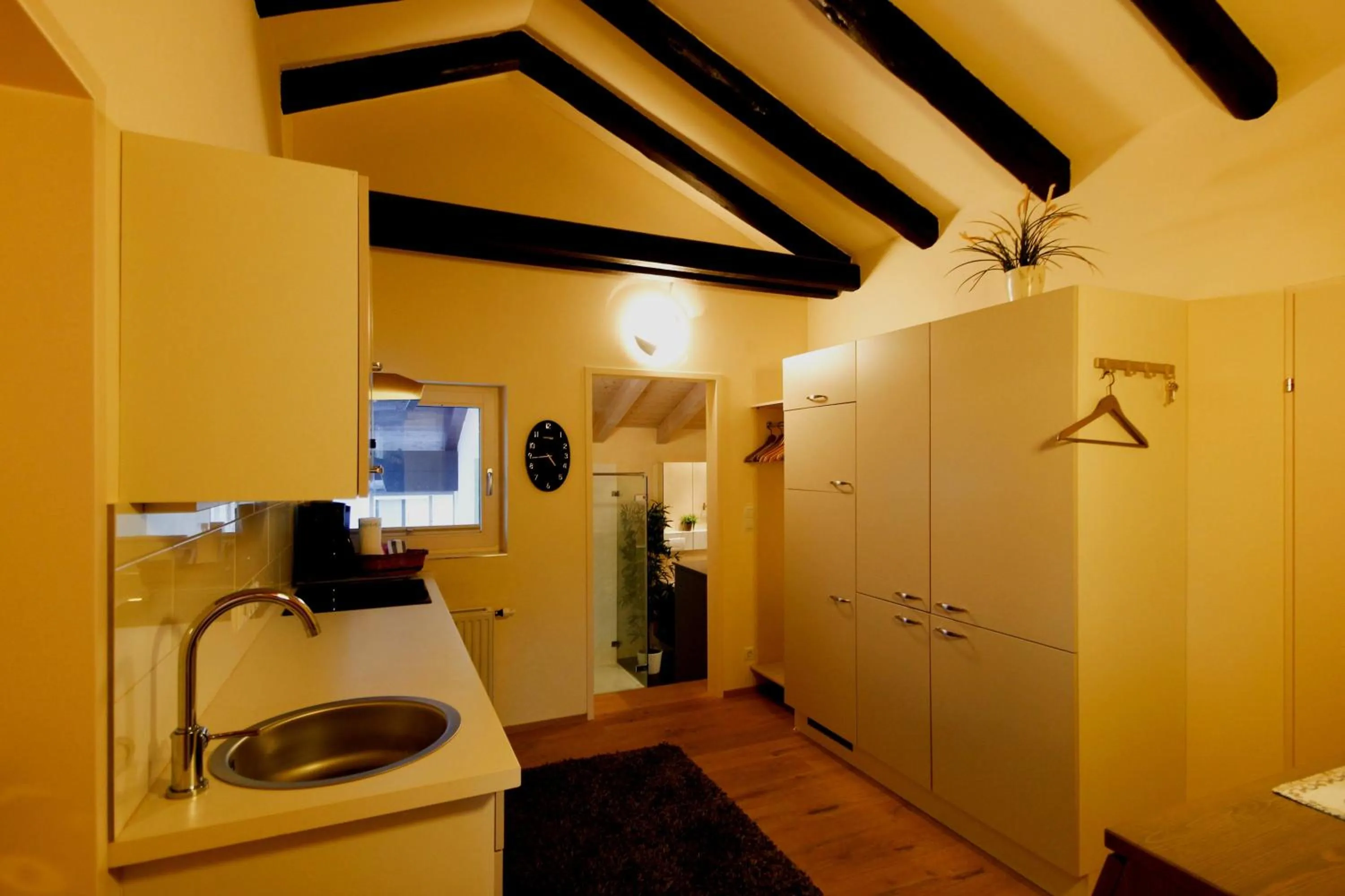 Kitchen or kitchenette in Alpenlandhaus Menardi