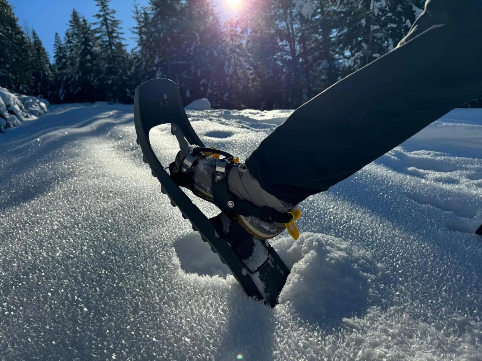 Alpenlandhaus Menardi