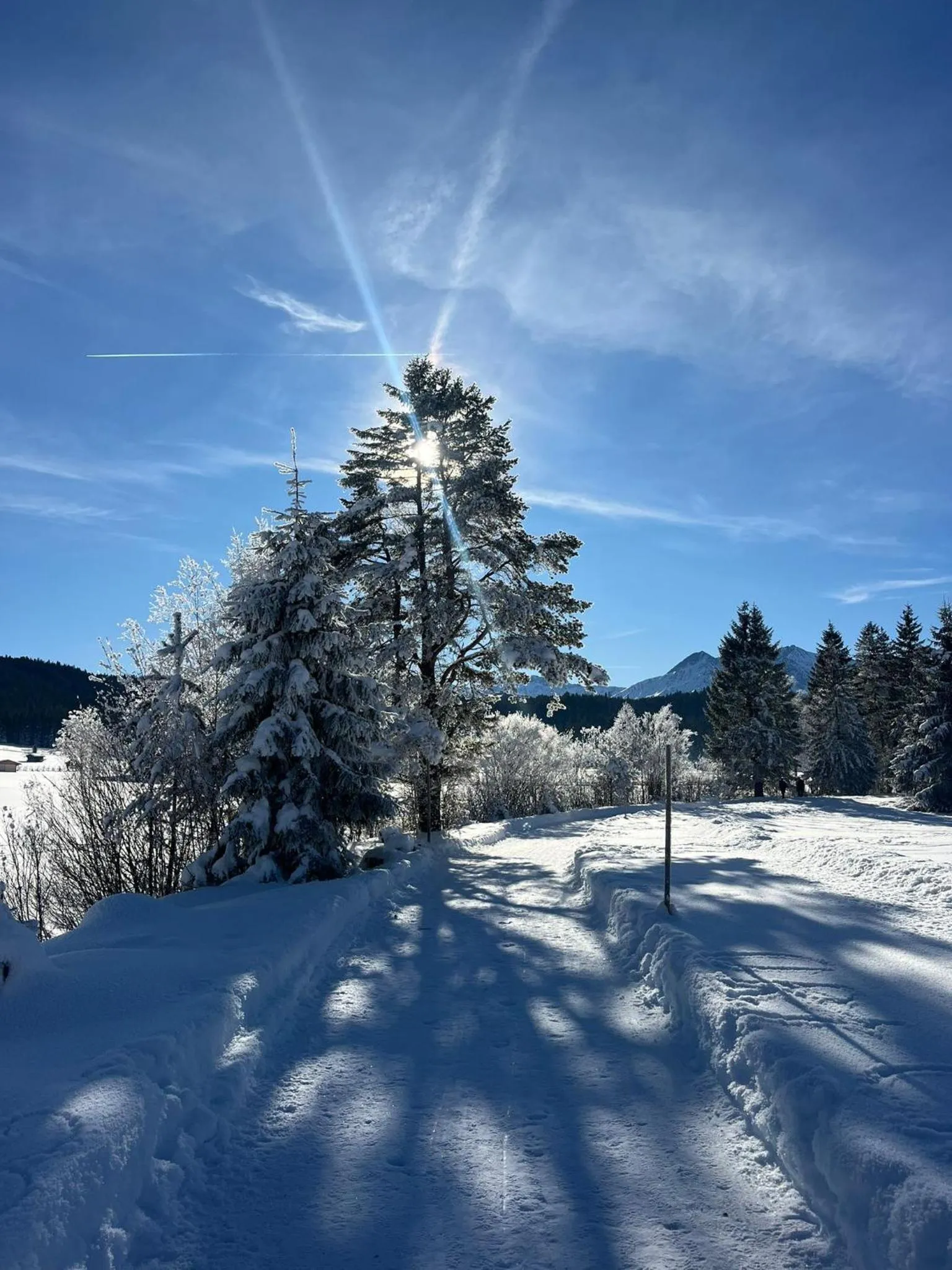 Alpenlandhaus Menardi