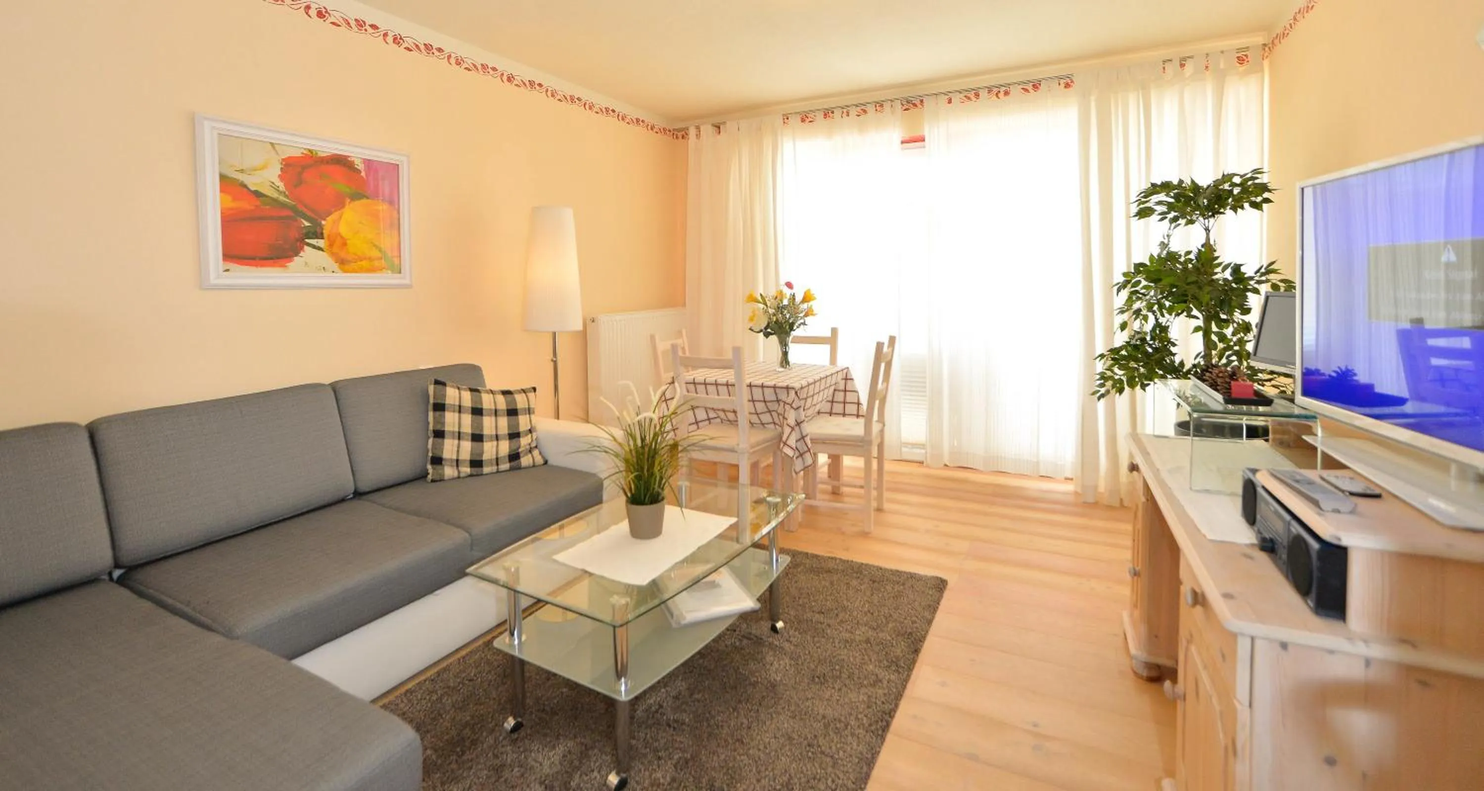 TV and multimedia in Alpenlandhaus Menardi