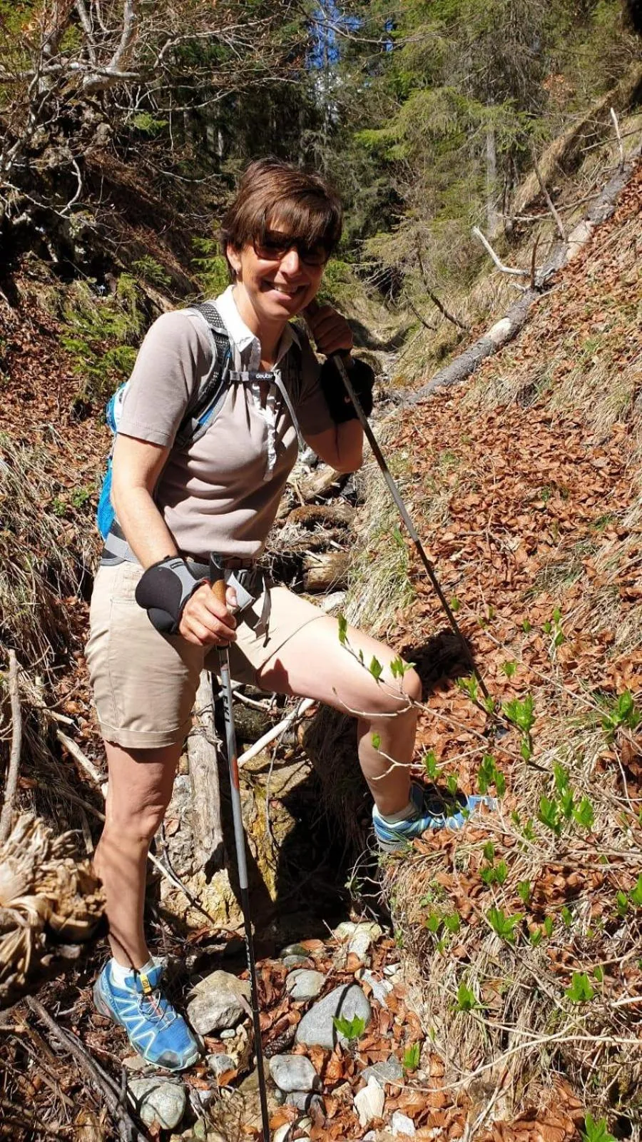 Alpenlandhaus Menardi