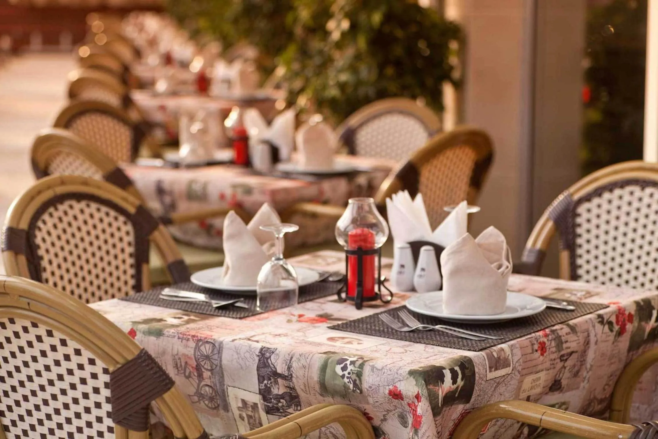 Food and drinks in Gardenia Hotel