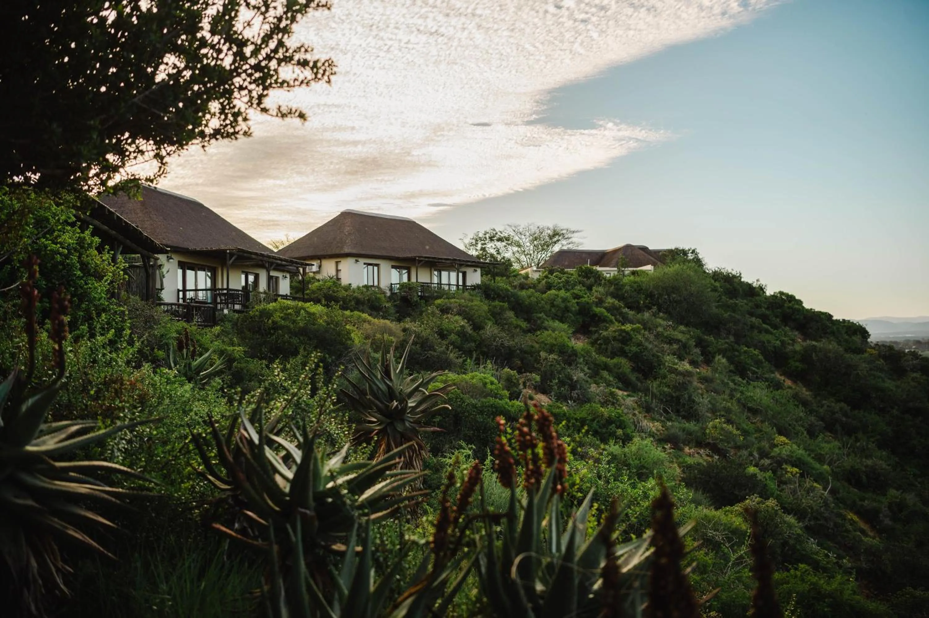 View (from property/room) in Hitgeheim Country Lodge