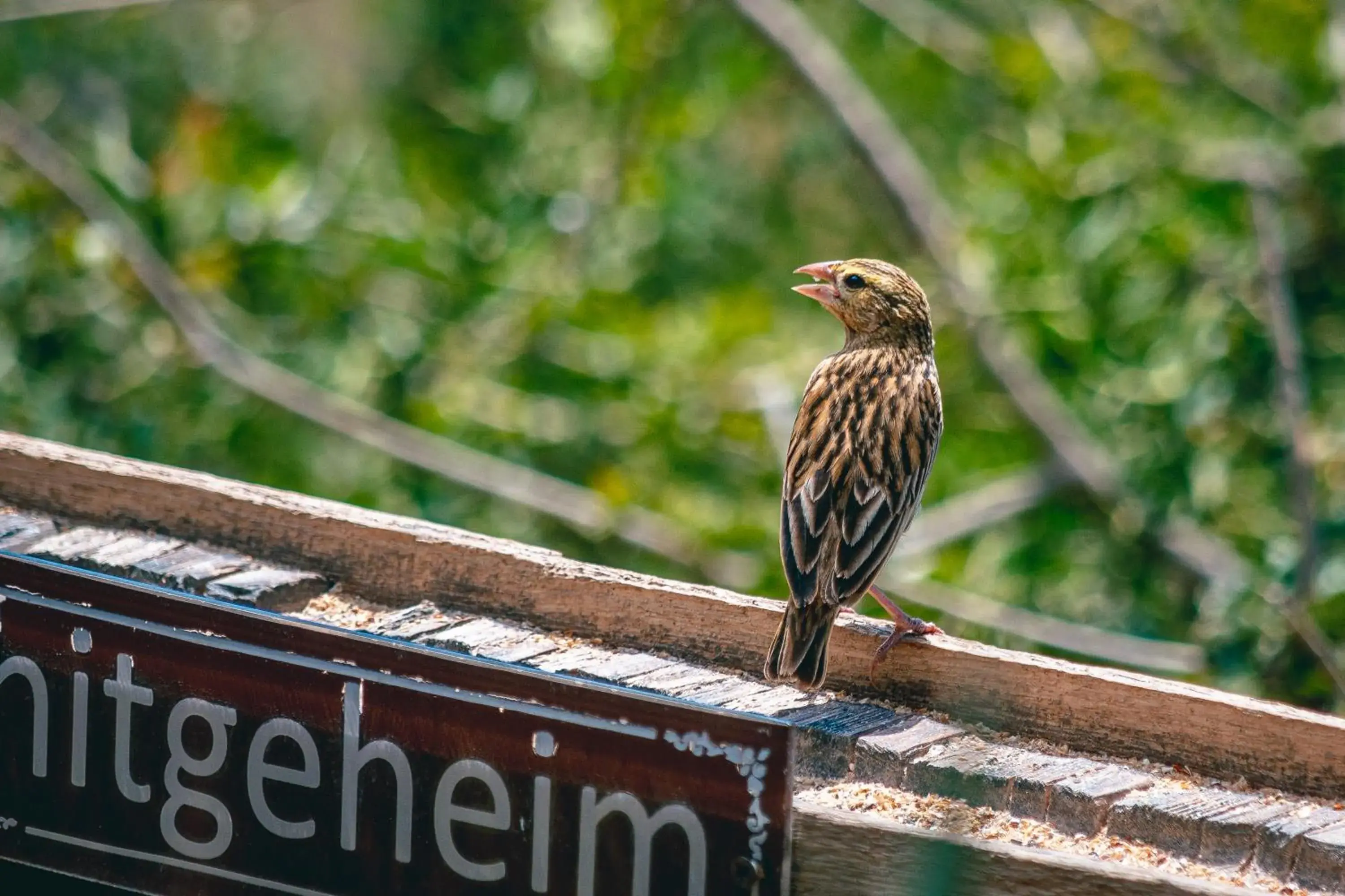 Property building in Hitgeheim Country Lodge Property building in Hitgeheim Country Lodge