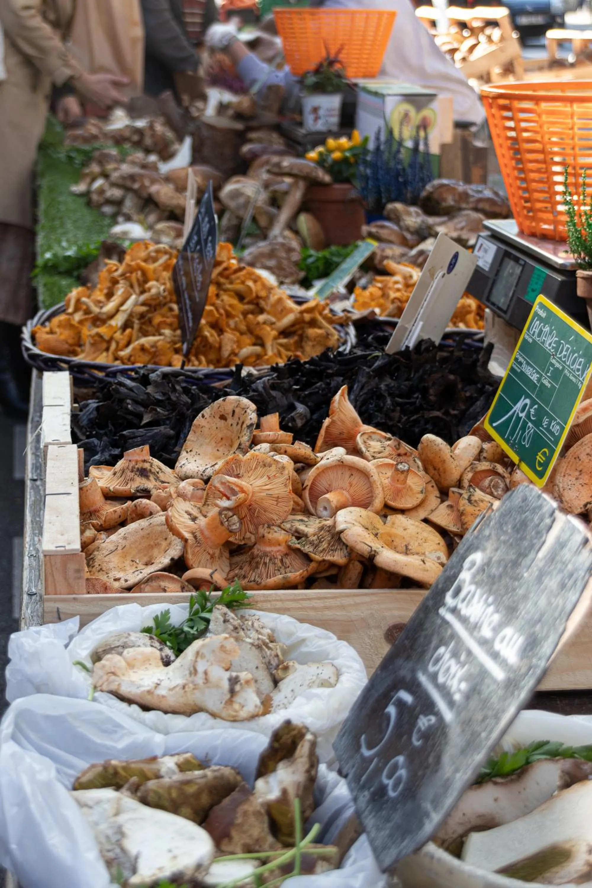 Neighbourhood in Residence le Pastel Jeanne d'Arc