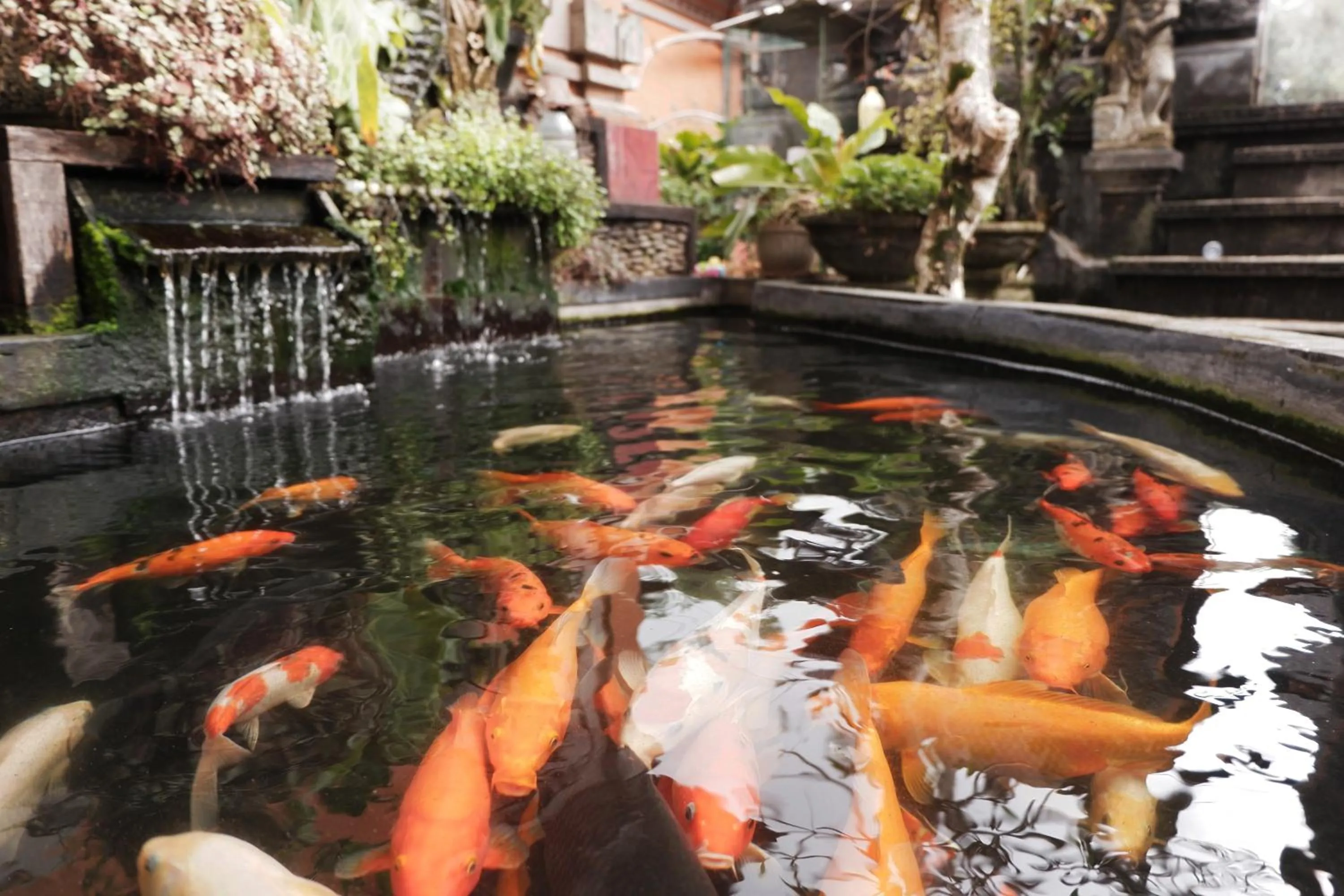 Garden in Ramaya Ubud View