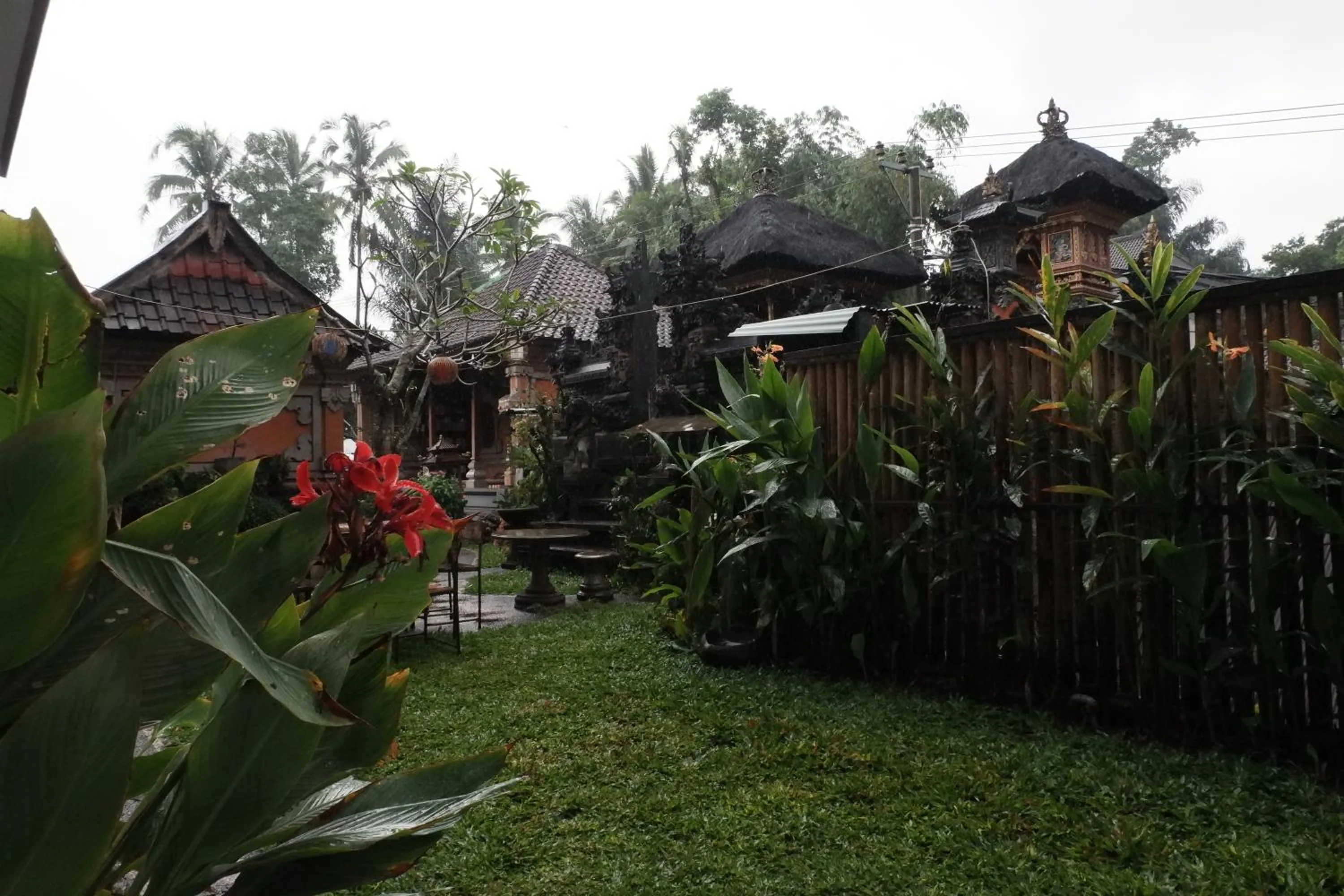 View (from property/room) in Ramaya Ubud View