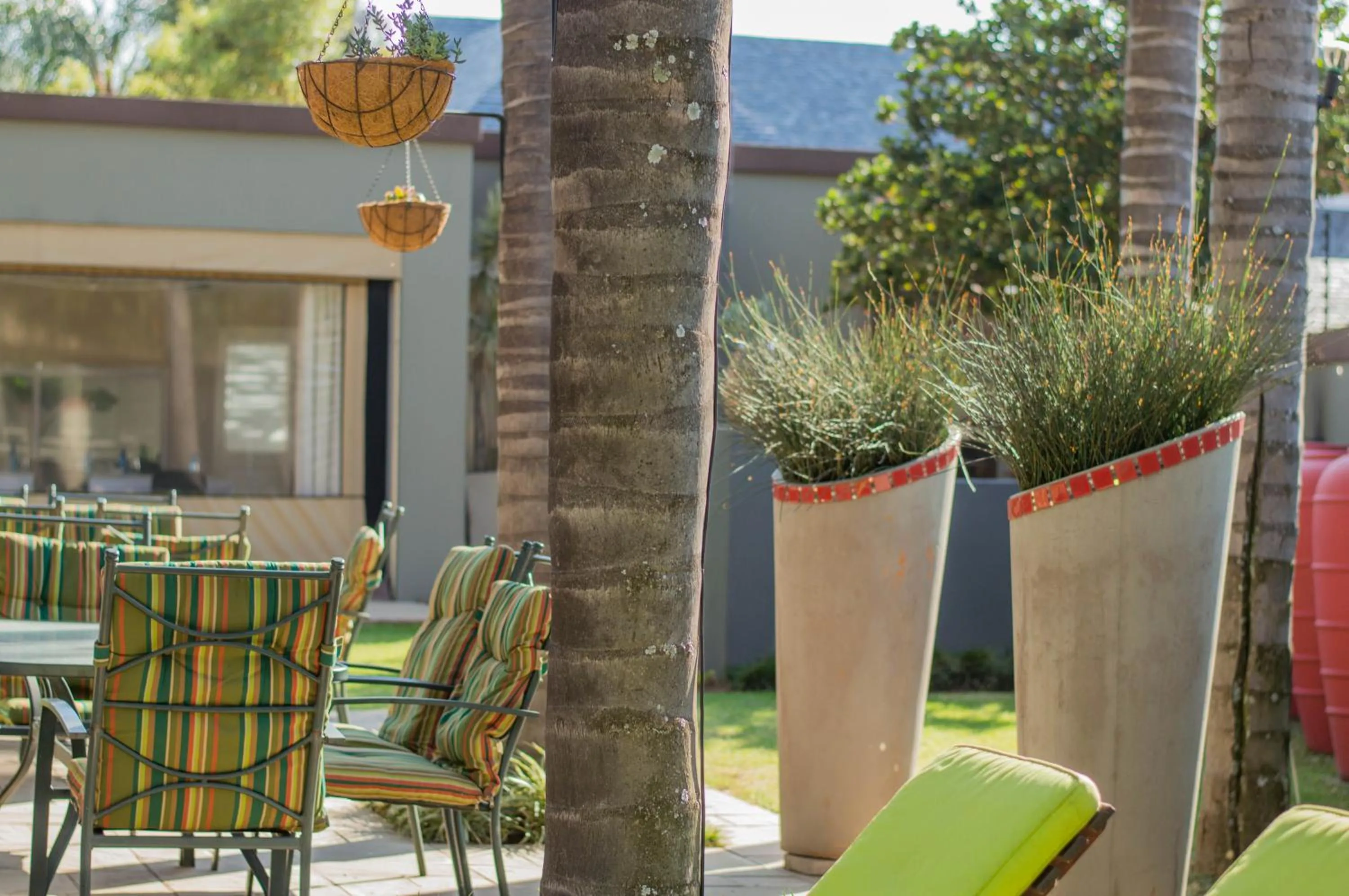 Garden in 314 on Clark Guest House