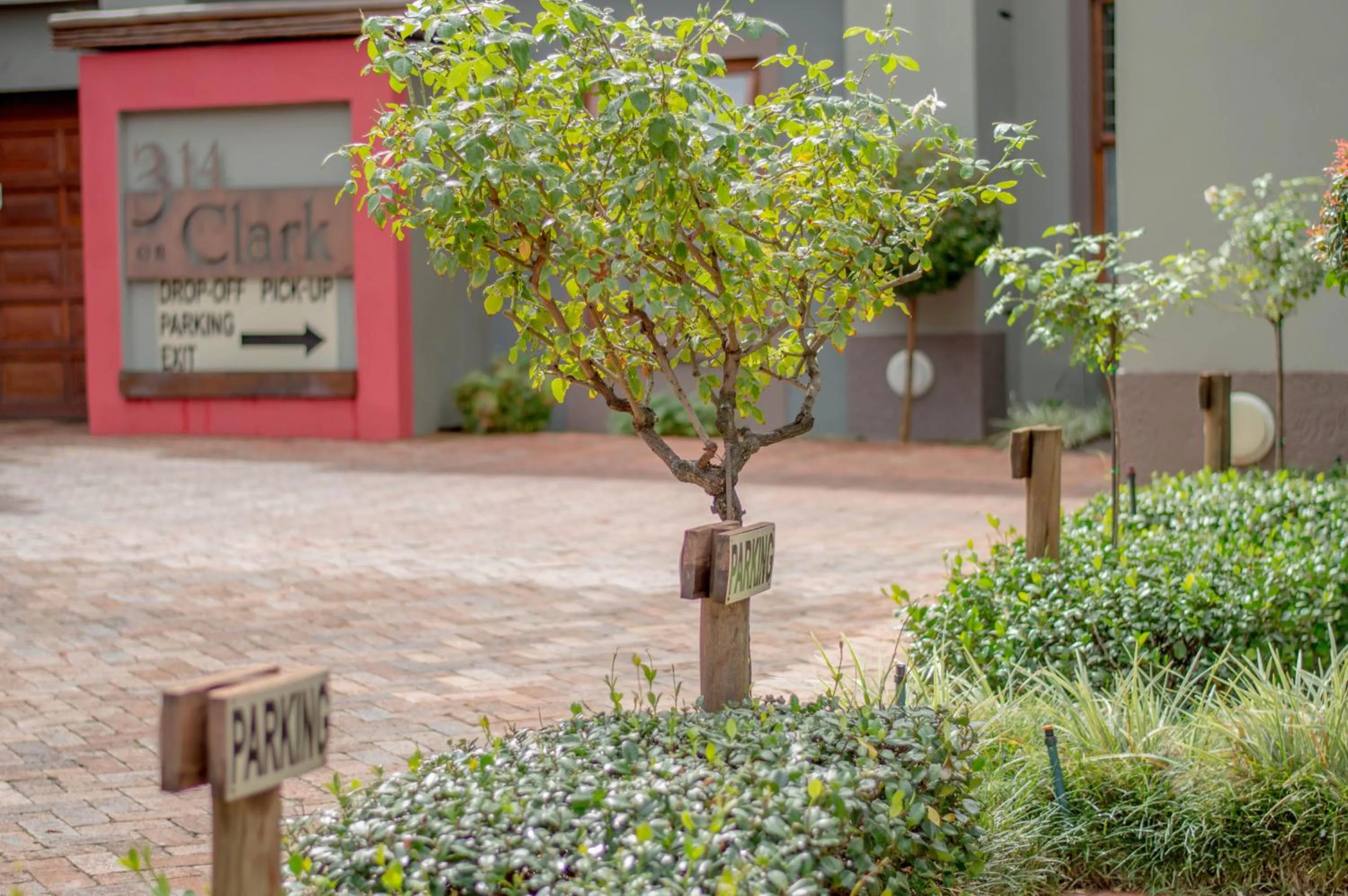 Garden in 314 on Clark Guest House