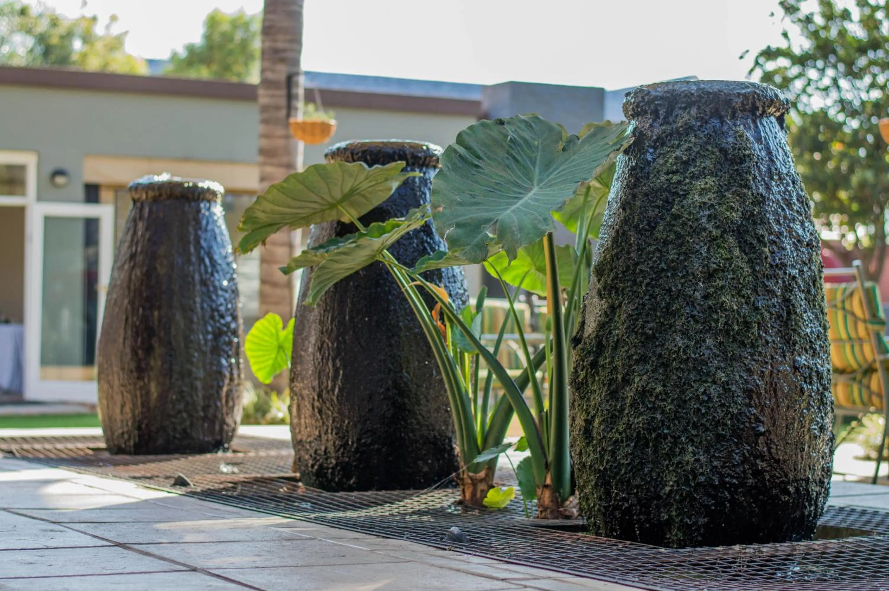 Garden in 314 on Clark Guest House